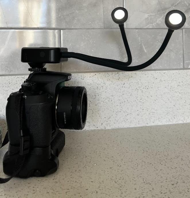 LED Macro Arm Light with 10 Level Adjustable Brightness, CRI 95+ 5600K Macro Photography Lighting Support Type-C Charge for DSLR Mirrorless Camera for Insect Plant Jewelry Close-up Shooting customer photo 2