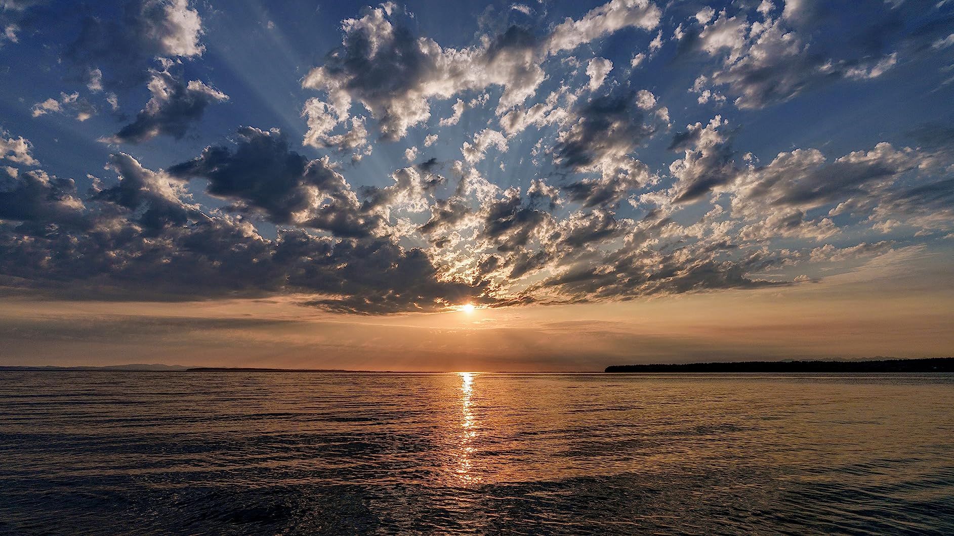 Sony FE 20-70mm f/4 G Lens customer photo 2