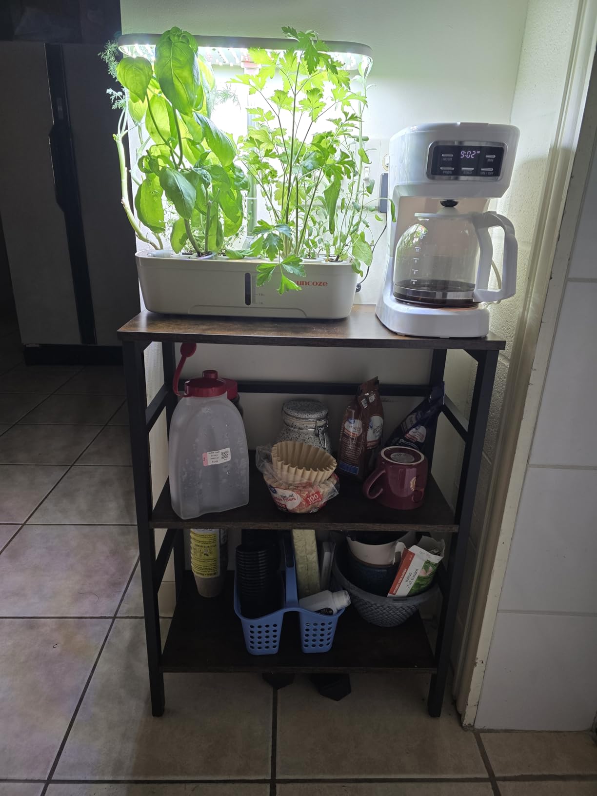 HOOBRO 3 Tier Bookshelf, 23.6