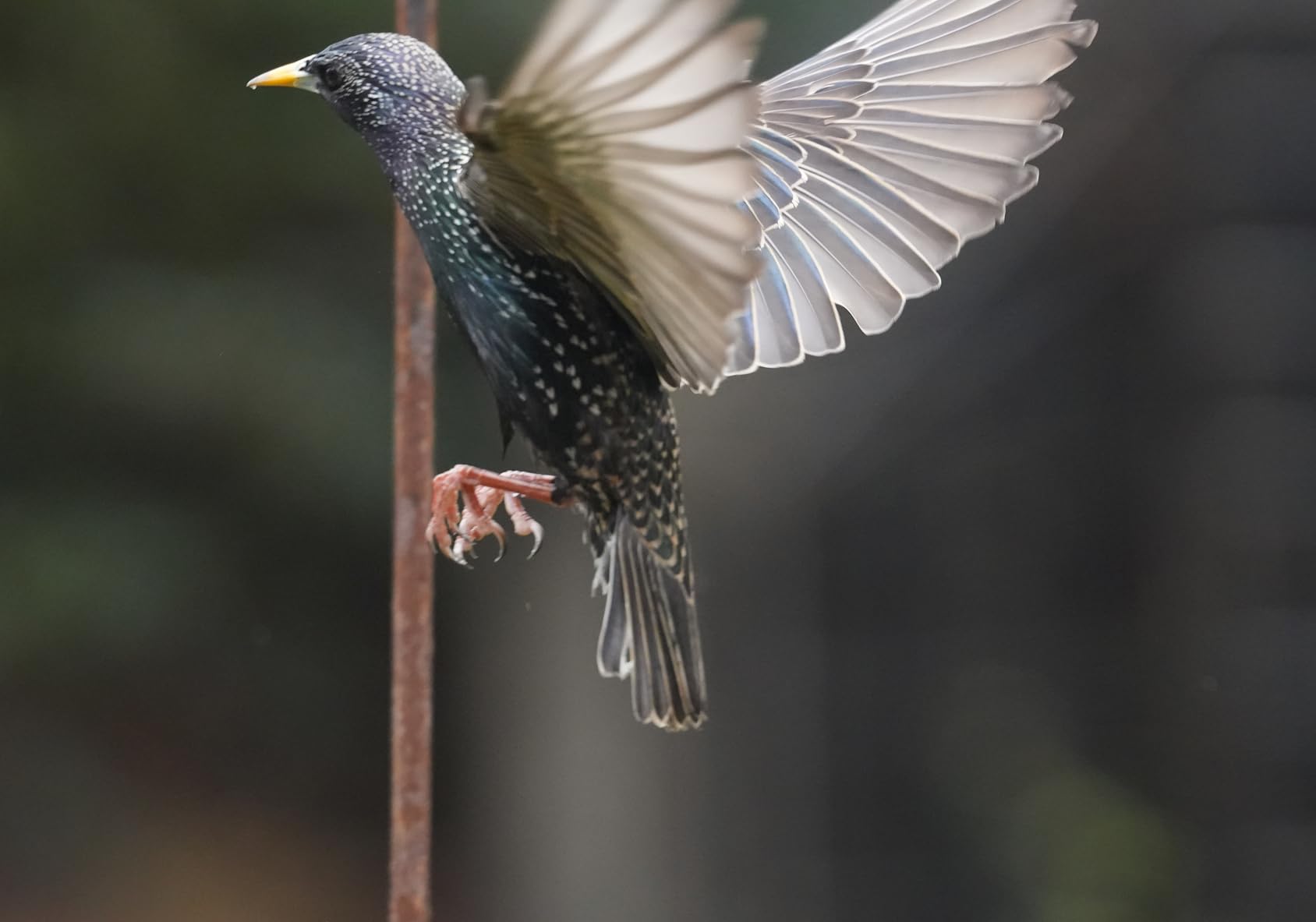 Tamron 70-180mm F/2.8 Di III VC VXD G2 for Sony E-Mount Full Frame Mirrorless Cameras customer photo 1