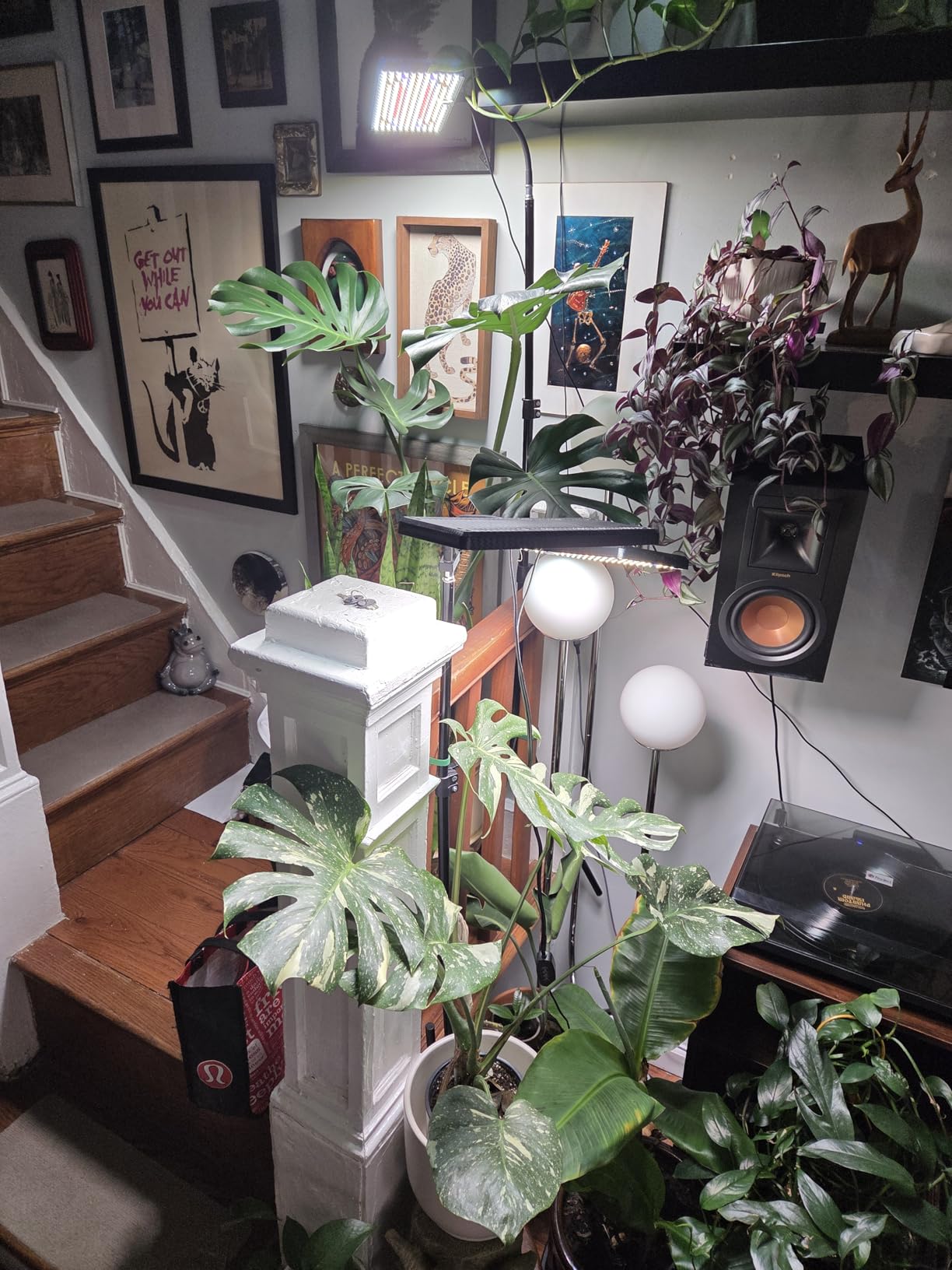 LBW Latest Grow Light for Indoor Plants, 428 LED Dual-Head Full Spectrum Standing Plant Light, Floor Grow Lamp with 3/6/12H Timer, 6 Brightness Levels, 3 Switch Modes, 75