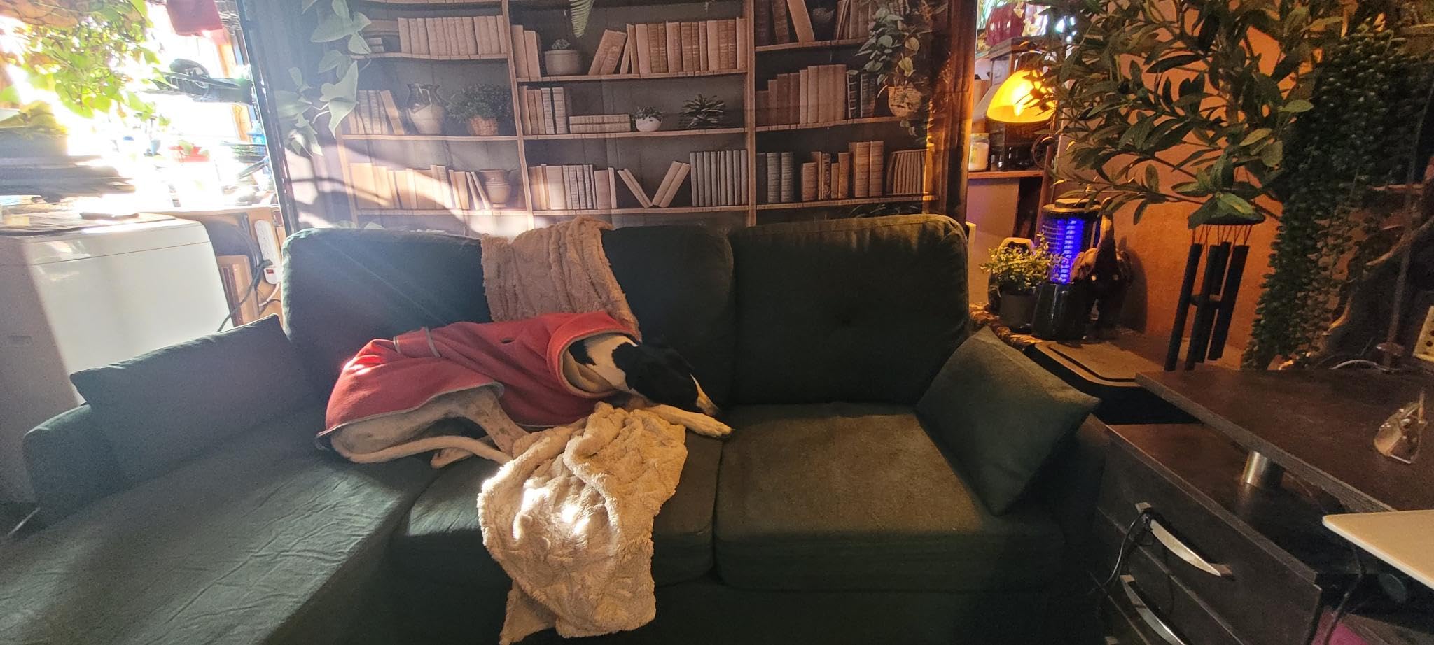 Convertible Sectional Sofa, 77
