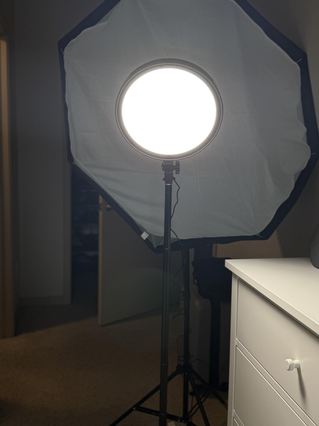 NEEWER 18 Inch RGB LED Round Panel Video Light with APP Control, 65W 6000Lux/0.5m 2500K-8500K RGBCW Photography Studio Lighting /18 Scenes/V Battery Powered for Outdoor Filming Recording Streaming, GR18C customer photo 1