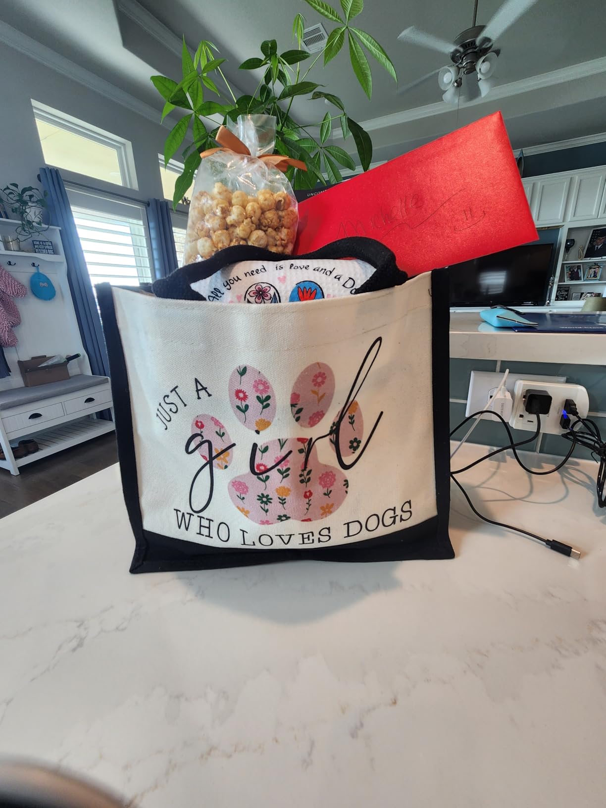 GevGuxLuo Canvas Tote Bag for Women, Cute Book Lover Gifts for Women, Book Lover Gifts Aesthetic Tote Bag Reusable Bag customer photo 1