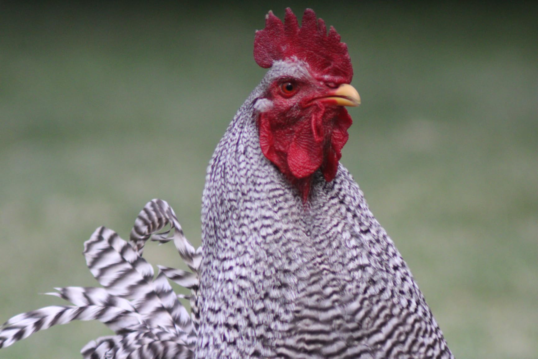 Tamron 18-300mm F/3.5-6.3 Di III-A VC VXD Zoom Lens (Canon R APS-C) customer photo 1
