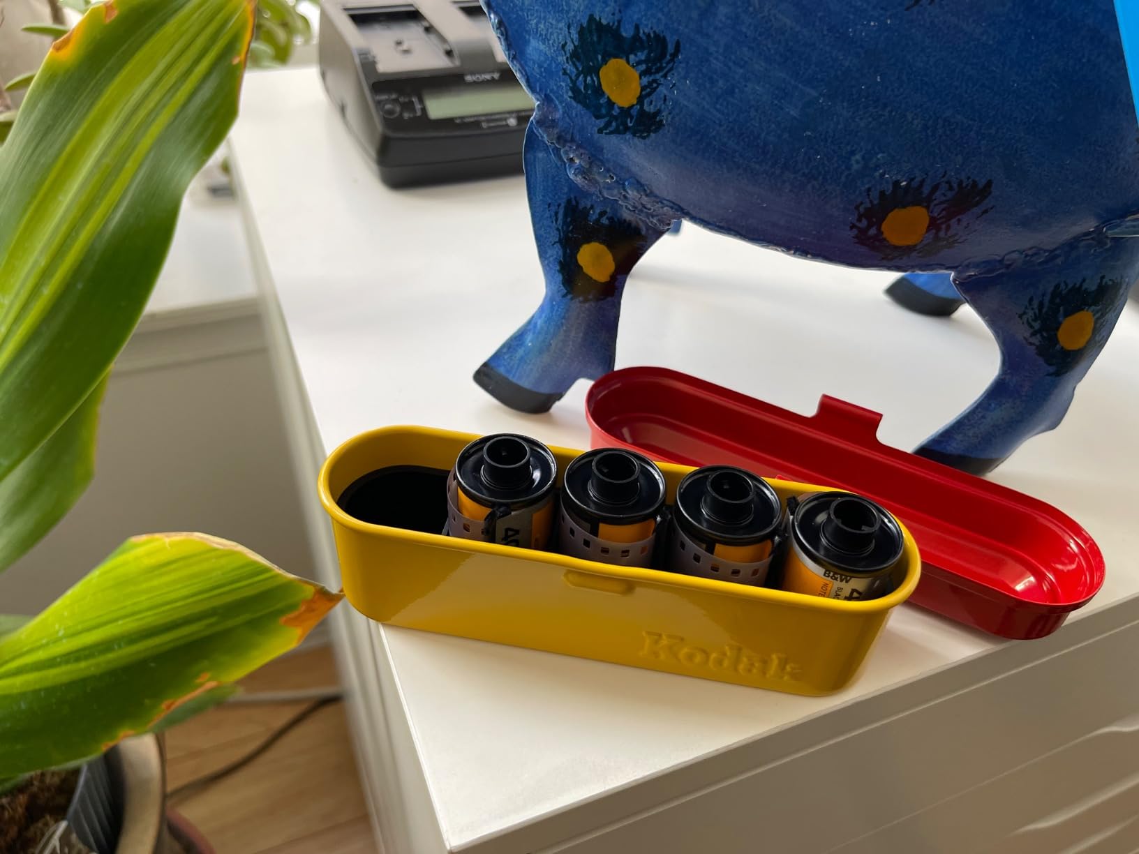 KODAK Film Case - for 5 Rolls of 35mm Films - Compact, Retro Steel Case to Sort and Safeguard Film Rolls (Olive) customer photo 1