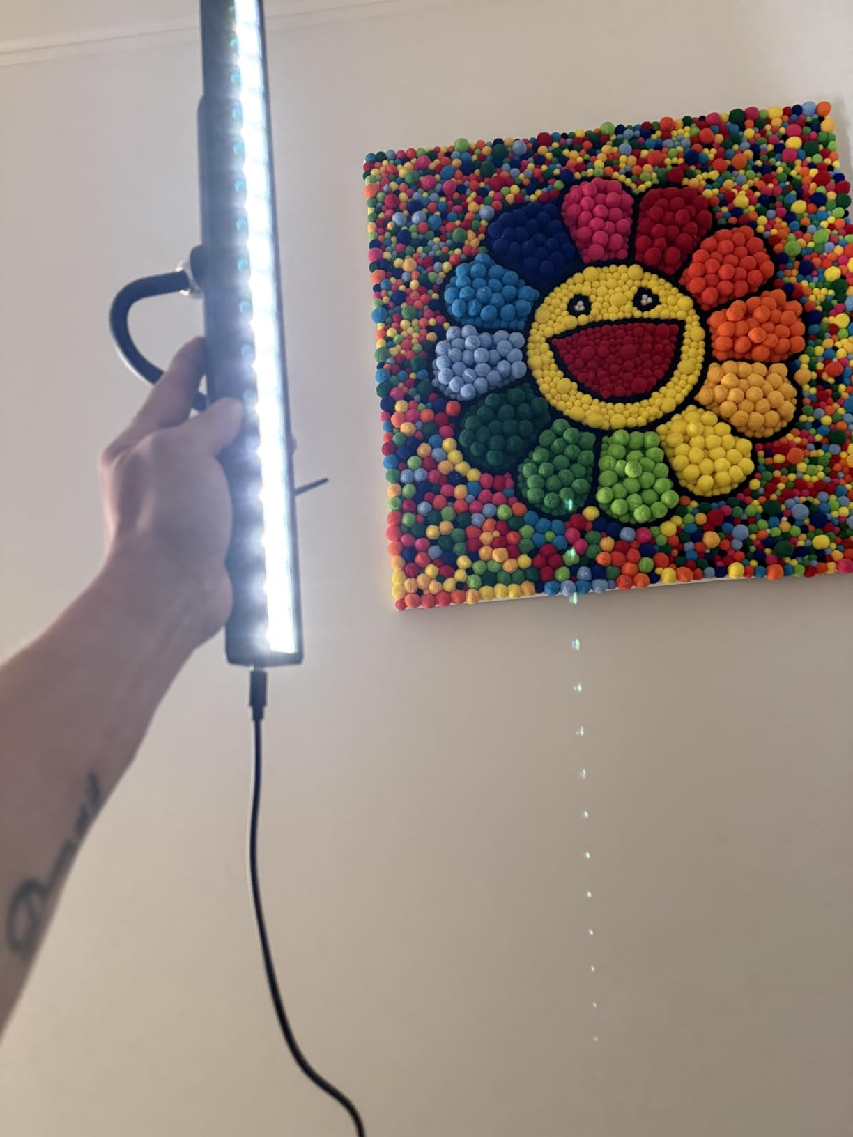 Dimmable Cordless Picture Light for Wall 16in, 5000mAh Rechargeable Battery Wall Sconce Art Light, CRI 95+ 350LM Wall Light for Gallery Artwork, Paintings, Photo, Portraits - Black customer photo 2
