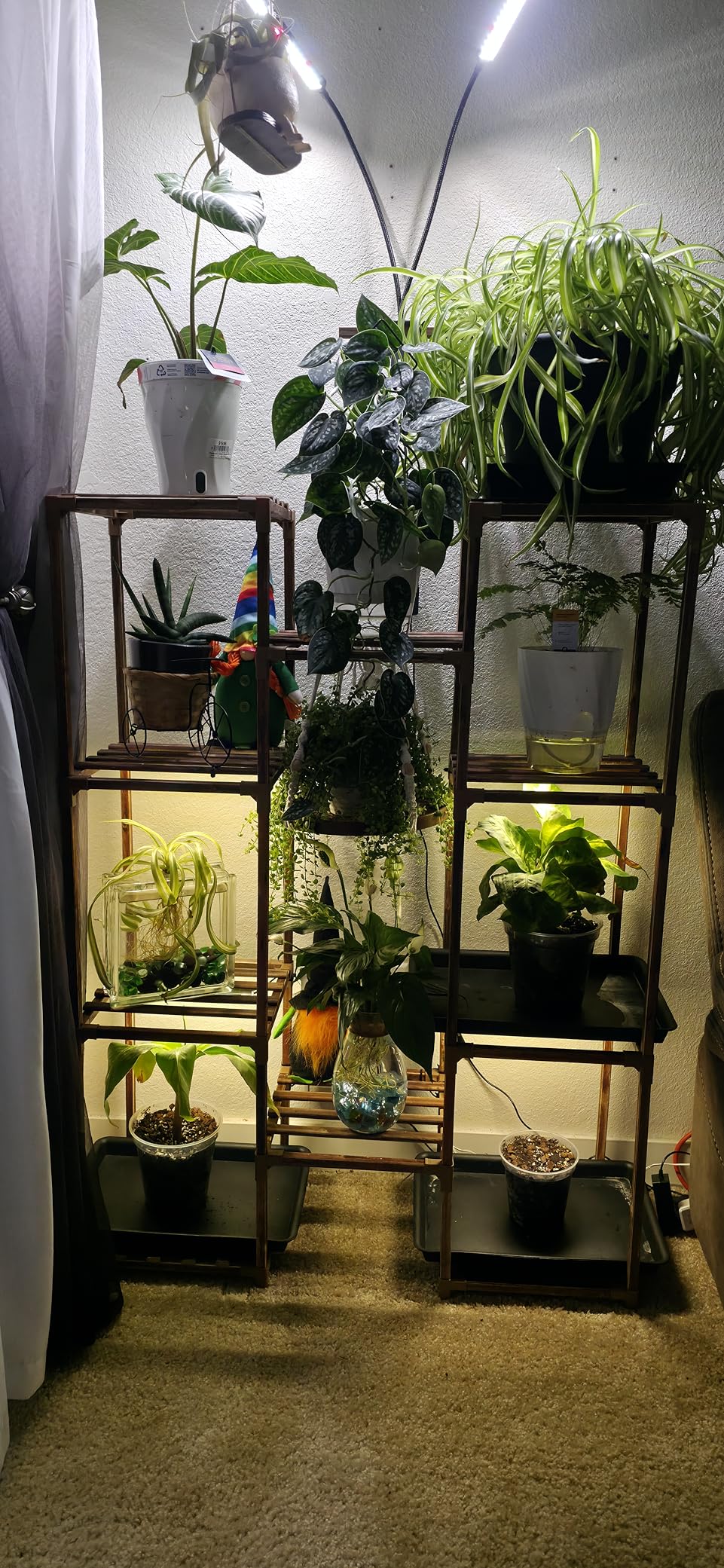 Bamworld Plant Stand with Grow Light Plant Shelf for Mutiple Pots Large Plant Holder for Living Room Patio Boho Home Decor for Gardening Warm Light customer photo 1