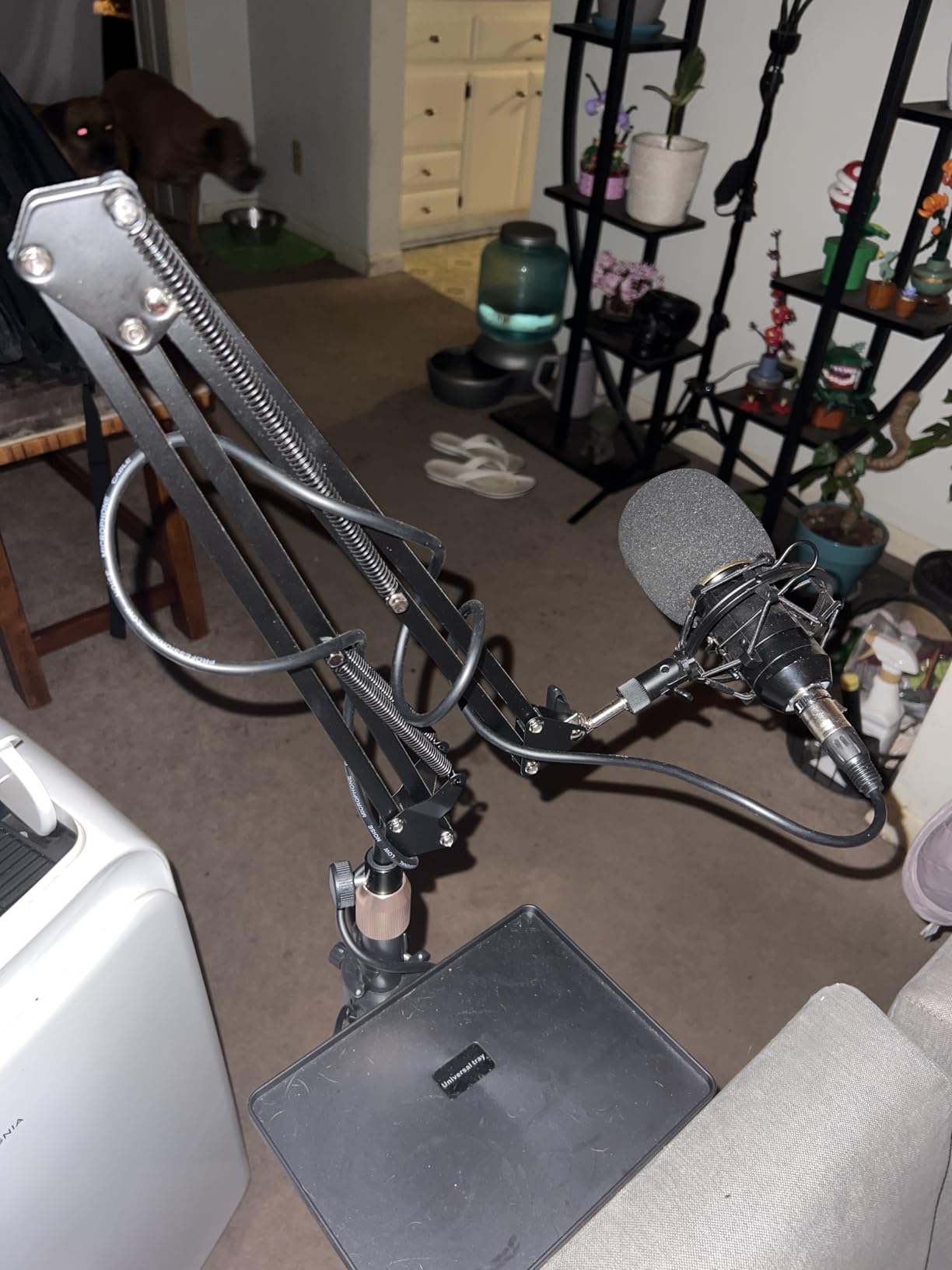 BILIONE Microphone Stand with Weighted Base, Mic Floor Stand Boom Arm with Mic Accessory Tray, Microphone Clip Holder, 3/8