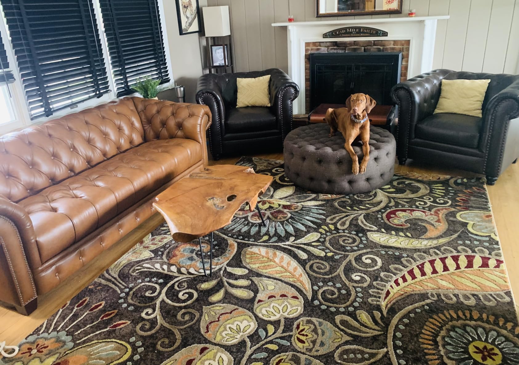 Hydeline York Leather Chesterfield Sofa, 88.5 inches, Tufted Top Grain Leather, Saddle Brown. Memory Foam and Springs Seating customer photo 1