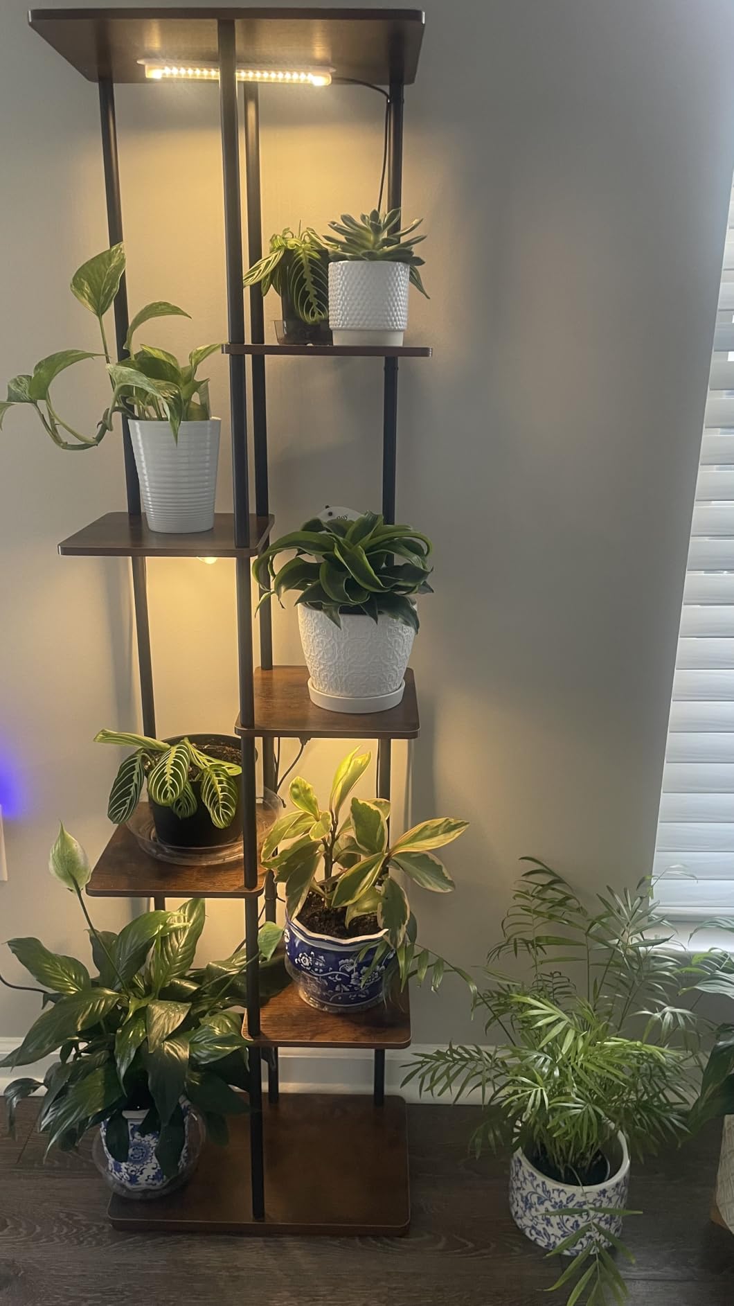 Bamworld Plant Stand with Grow Light for Indoor Plants Corner 7 Tier Metal Plant Shelf Wood Flower Stand for Home Living Room Decor Patio Decor customer photo 1