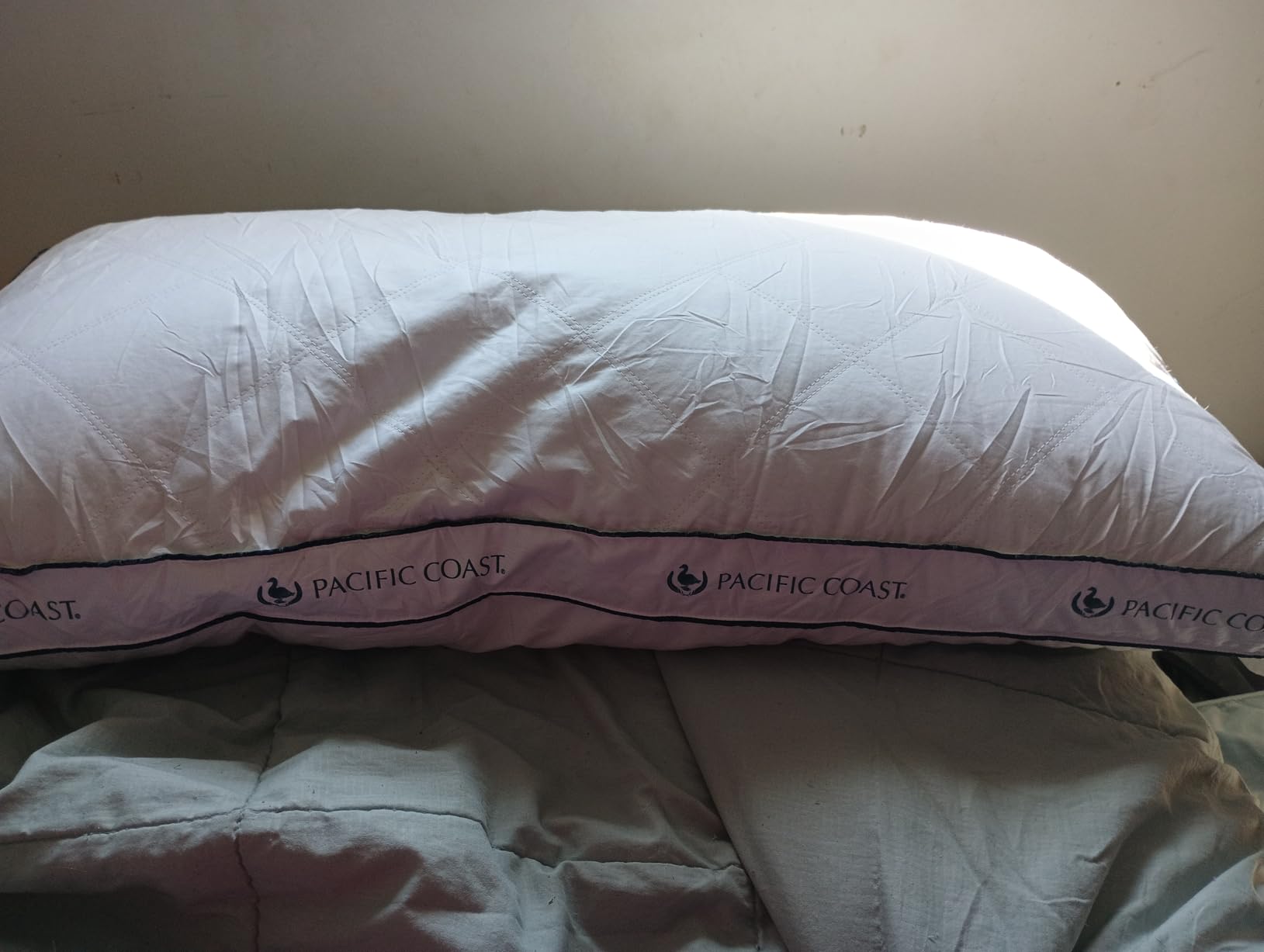 Pacific Coast Gusseted Bed Pillows for Side Sleepers and Back Sleepers, Goose Feather and Down Firm Pillows with 100% Cotton Shell, King Size Set of 2, Supportive Gusseted Pillows for Sleeping customer photo 1