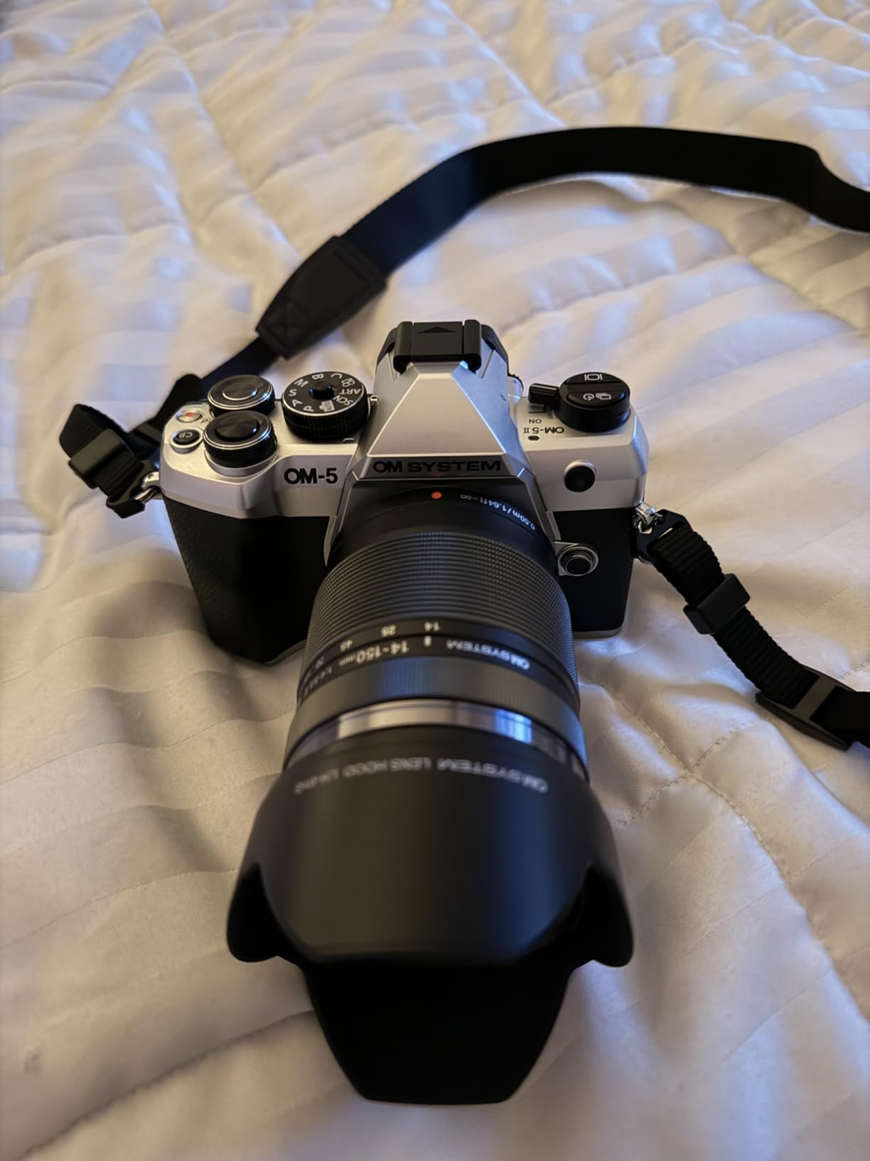 OM SYSTEM OM-5 Mark II with M.ZUIKO Digital 14-150mm f4.0-5.6 II customer photo 1