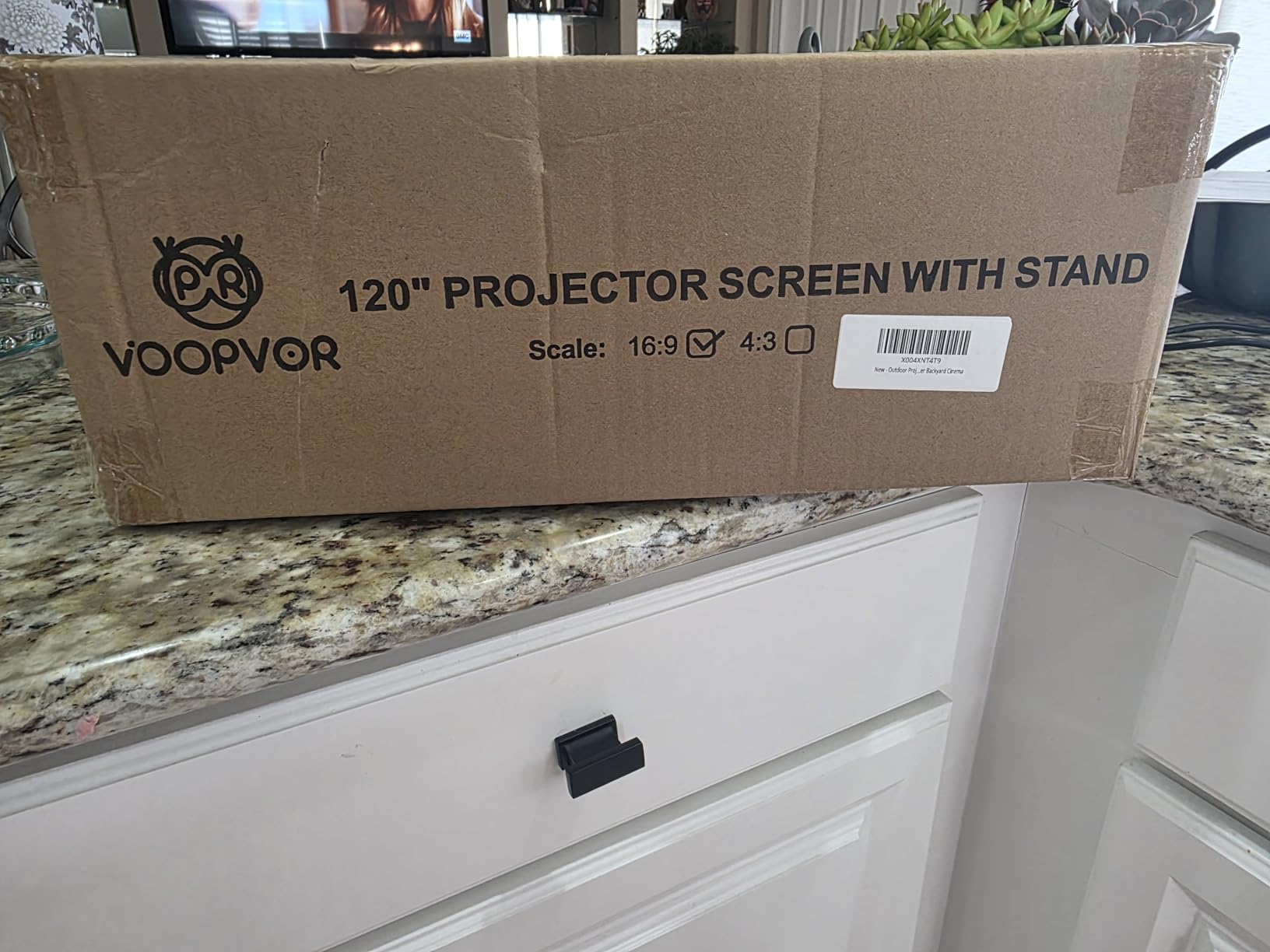 Outdoor Projector Screen with Stand - VOOPVOR 120 inch Projector Screen Portable - Lightweight Projection Screens Indoor Front/Rear - Movie Screen 16:9 4K HD with Catty Bag for Backyard Home Theater customer photo 1
