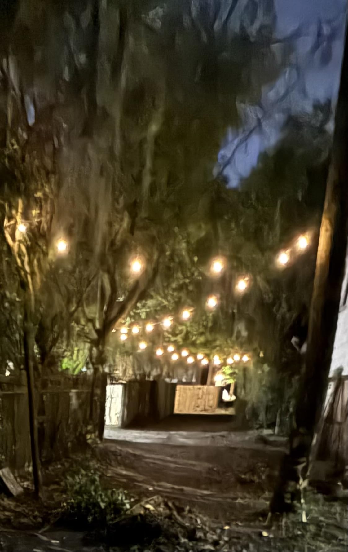 100FT Solar String Lights Outdoor Waterproof with Remote & Timer, LED Shatterproof ST38 Bulbs, USB & Solar Powered Patio Lights for Backyard, Porch, Garden, Wedding Decor, Dusk to Dawn Lighting customer photo 1
