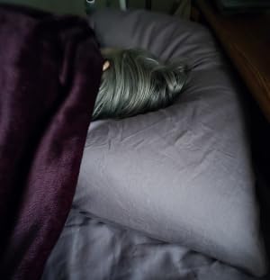 COZSINOOR Goose Feather Pillows Queen Size Set of 2 - Hotel Down Bed Pillow for Sleeping, Soft 600 TC Cotton Cover, Fluffy Support Surround Fill Down Alternative for Back, Stomach, Side Sleepers customer photo 1
