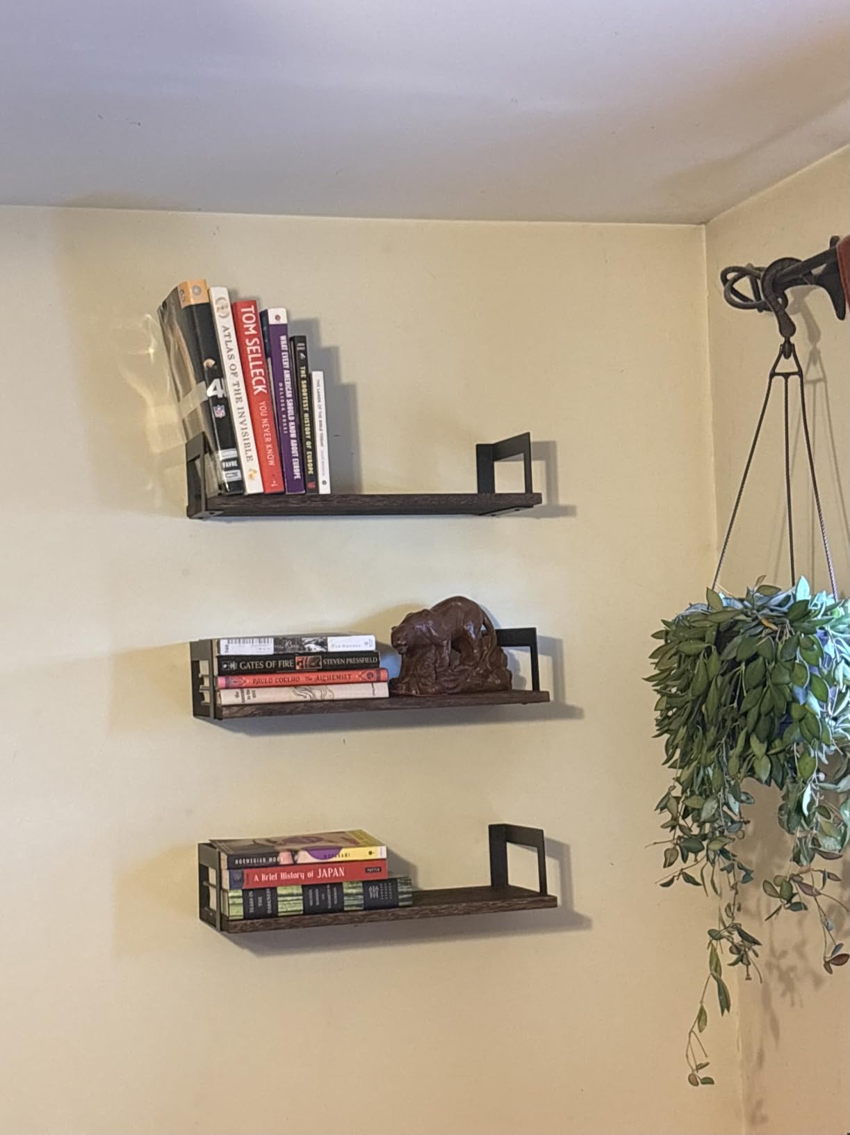 Harwaya Wall Mounted Bookshelf, Floating Bookshelves for Bedroom, 17 Inches Long Wall Mount Book Shelves for Living Room Office Books, Black Wall Book Holder Bookcase (Set of 3) customer photo 1