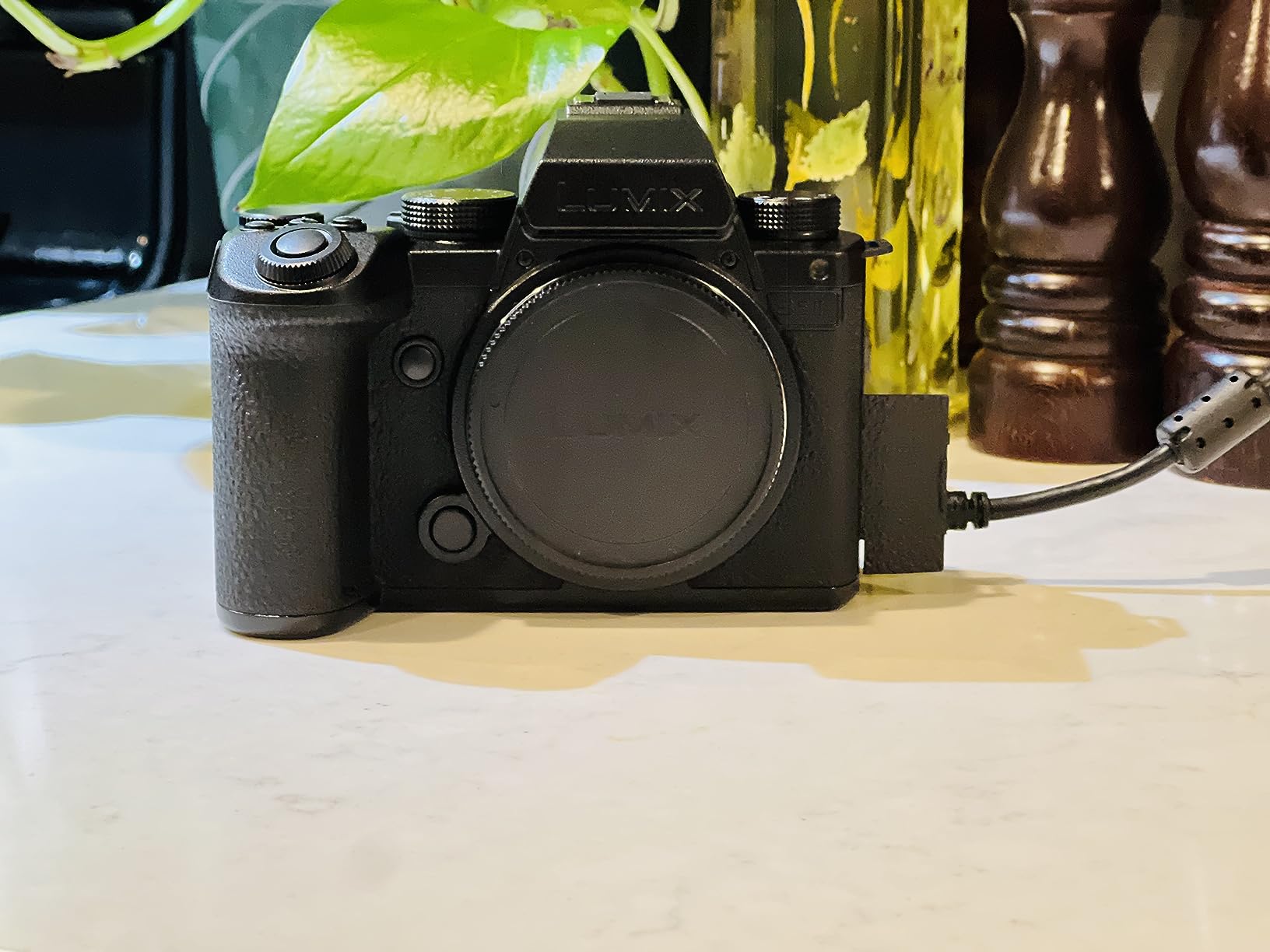Panasonic LUMIX S5IIX Mirrorless Camera with 20-60mm Lens customer photo 1