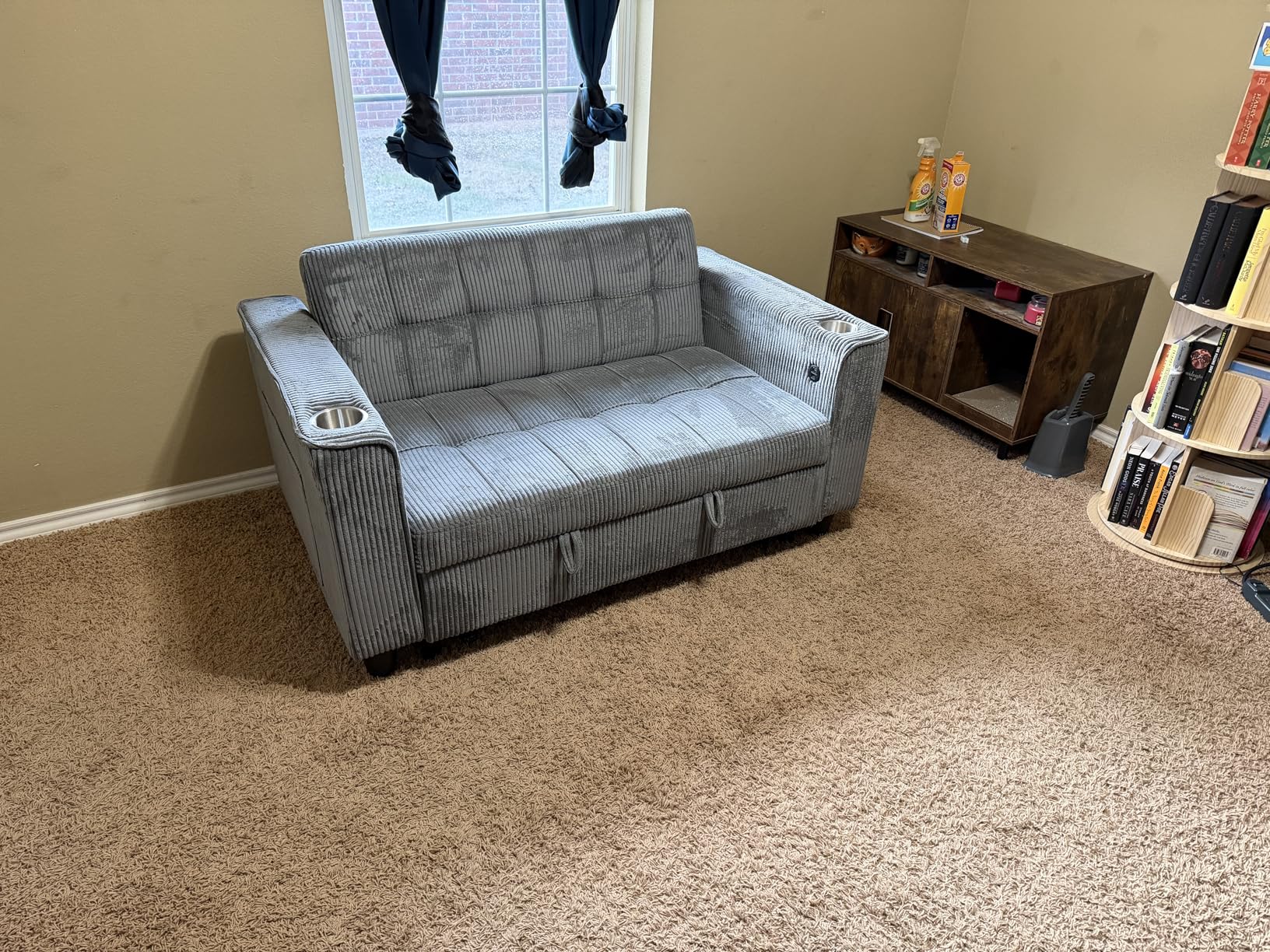 LINSY Sleeper Sofa Bed, 54