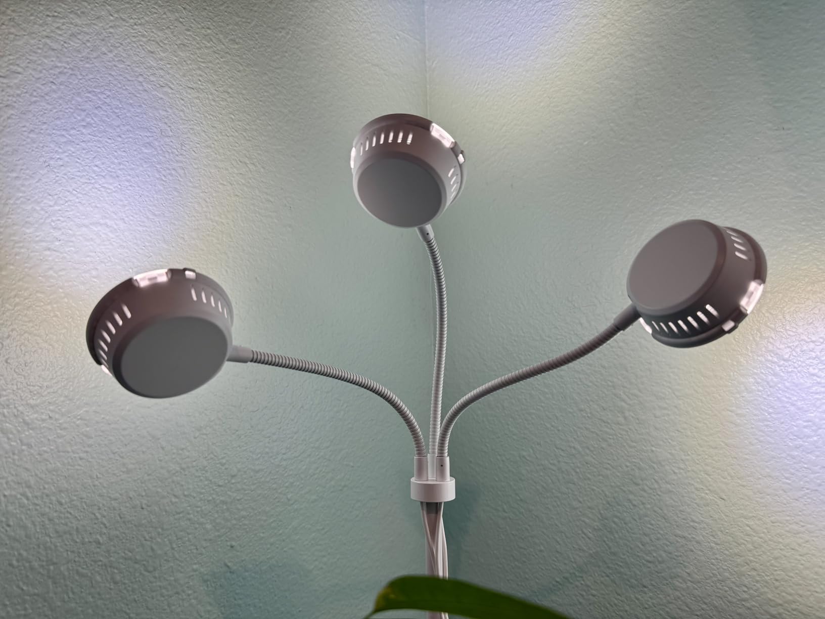 LORDEM Full Spectrum Plant Light for Indoor Growing, Tri-Head Grow Light with Stand for Large Plants, Auto ON/Off Timer 6/8/12/16H, 5 Dimmable Levels, 20-70 inches Adjustable Height customer photo 1