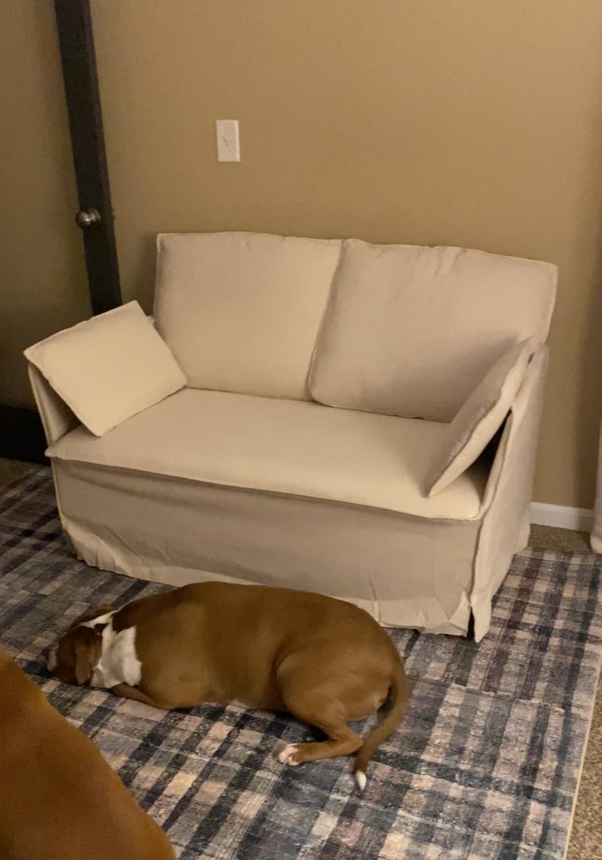 Oversized Accent Chair, 41 inch Modern Armchair for Living Room, Wide Reading Chair w/Deep Seat Springs Cushion, Padded Arms, Chenille Single Sofa Chair for Bedroom, Apartment, Beige customer photo 1