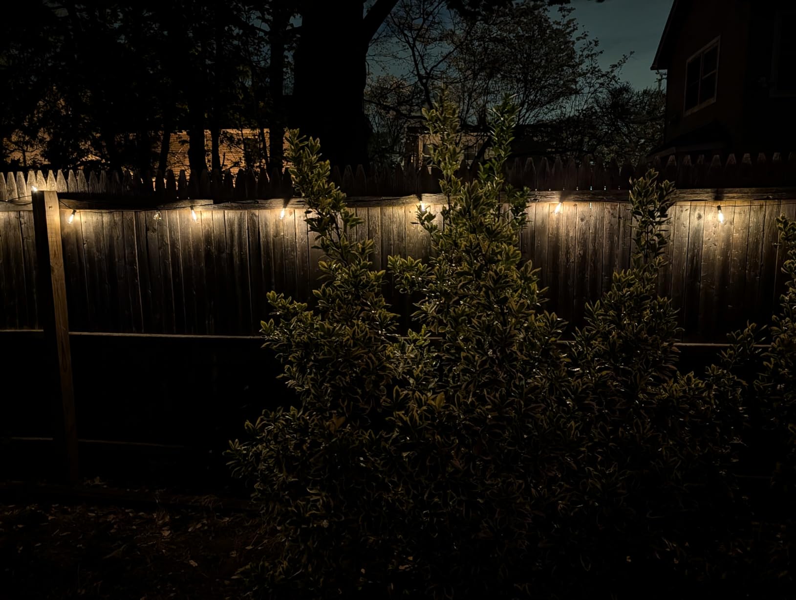 65ft Solar String Lights Outdoor Waterproof Solar Powered Patio Light Hanging Outside Backyard Camping Yard Gazebo Garden Pergola Bistro Balcony Cafe Party Fence Lighting LED with Edison Bulb & Remote customer photo 2