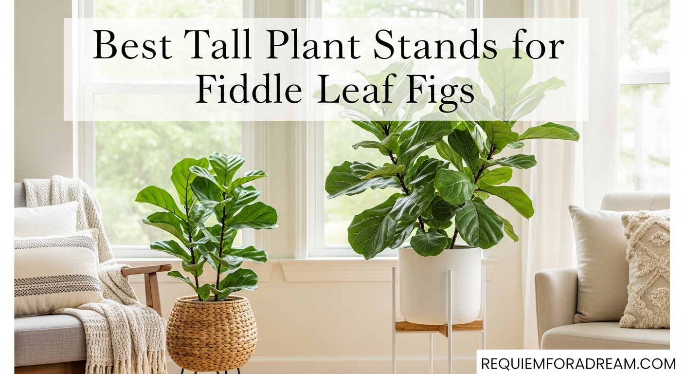 Best Tall Plant Stands for Fiddle Leaf Figs