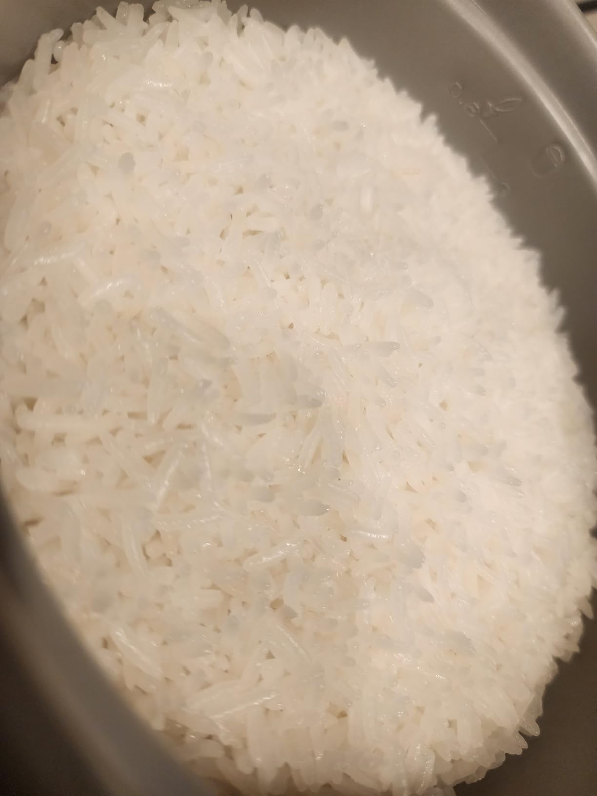 Zojirushi NHS-06 6-Cup Rice Cooker customer photo 1