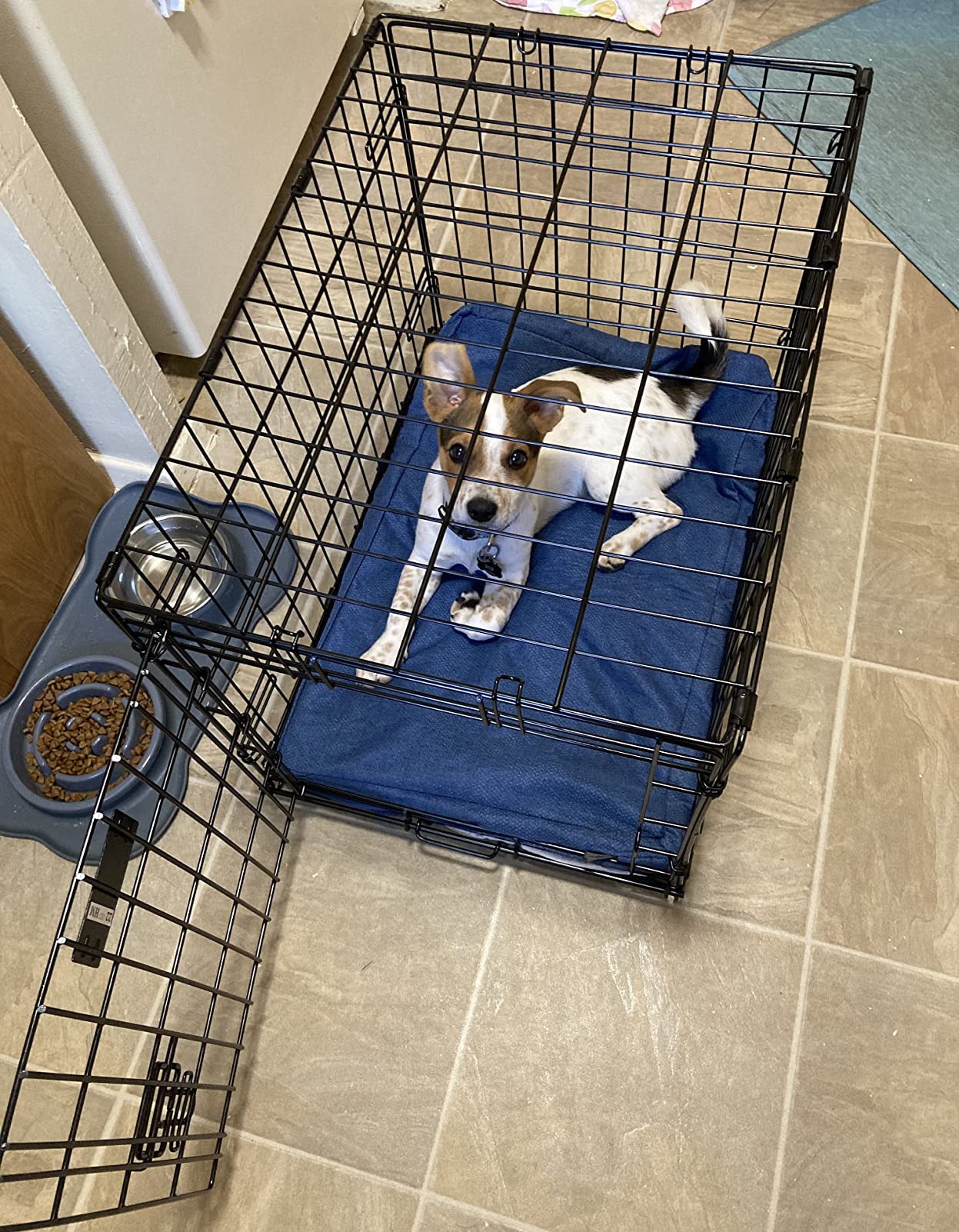 MidWest Homes for Pets 24-Inch LifeStages Crate for Small Breeds, 12-20 lbs, Single Door Folding Dog Crate with Divider Panel, Leak-Proof Tray & Secure Latch, Heavy-Duty & Easy to Assemble customer photo 2