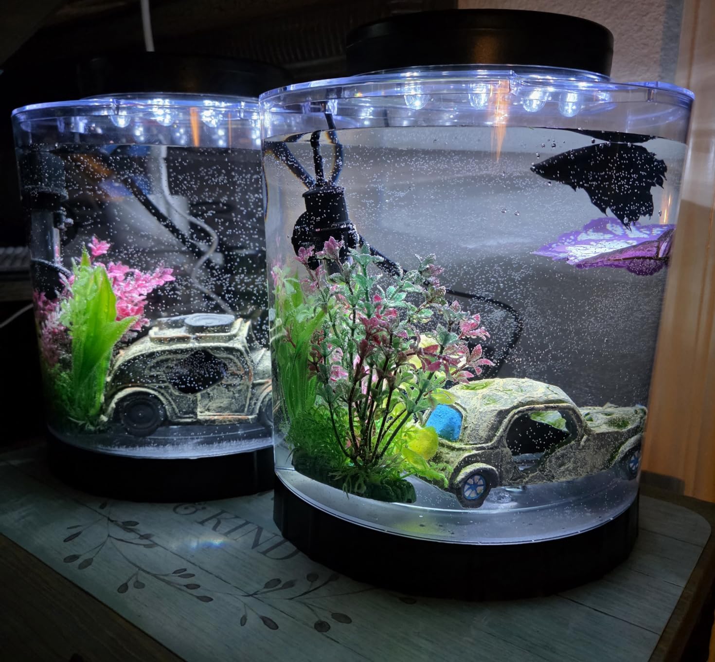 Tetra LED Half Moon Aquarium Kit, 1.1 Gallons, Small Clear Plastic Fish Tank With Curved Front customer photo 1