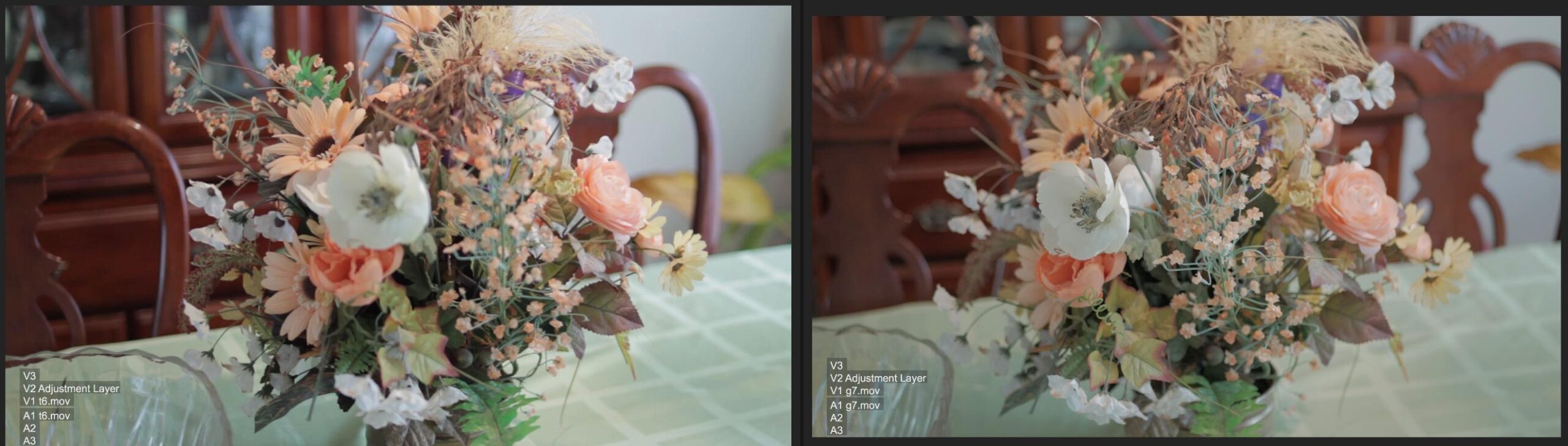 Datacolor SpyderCHECKR 24 Color Calibrate Your Camera for Consistent Image Color Across Multiple Camera Systems customer photo 2