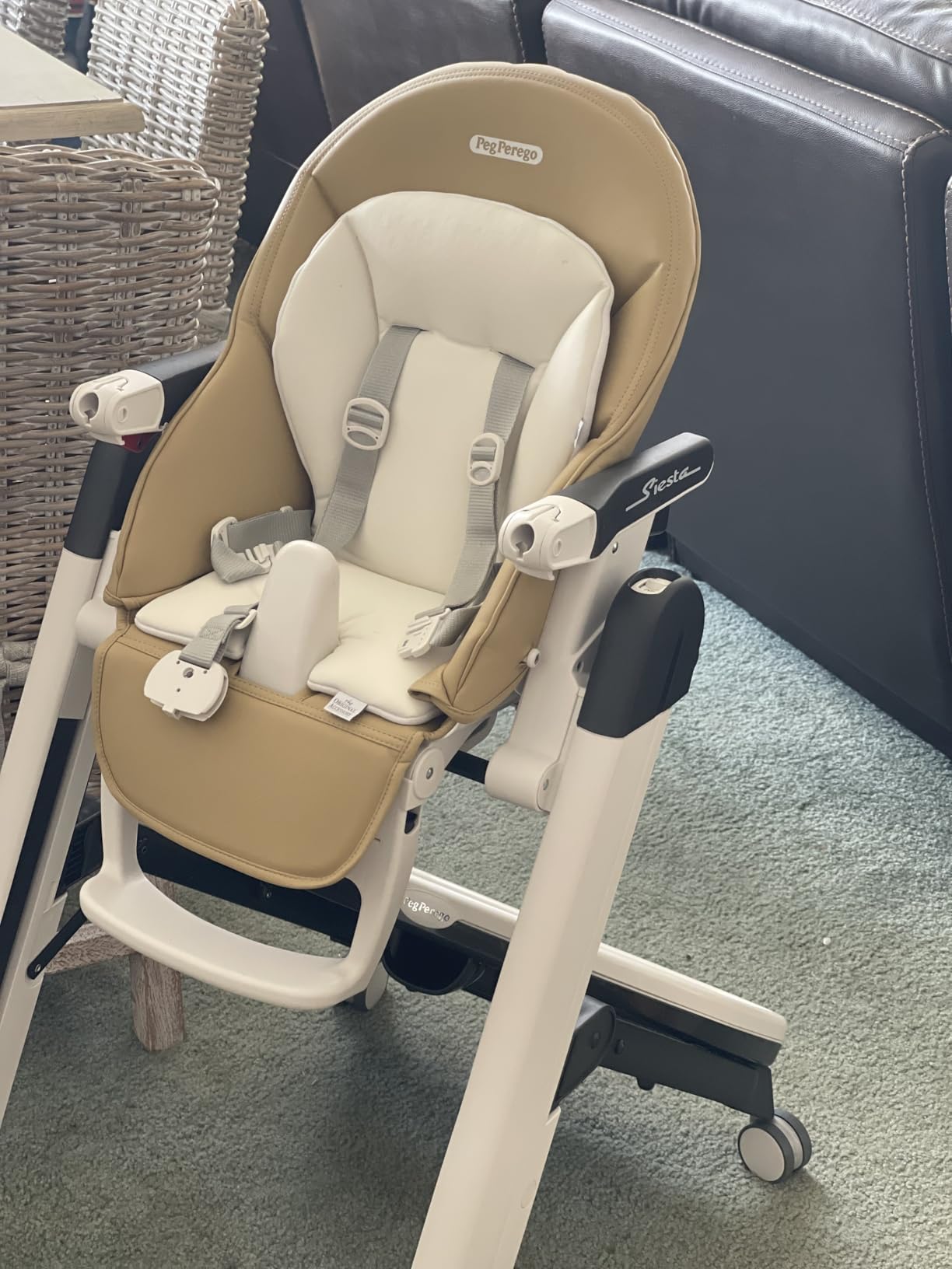 PEG Siesta, Grow With Baby Folding High Chair & Recliner, Ice (Grey) | Height Adjustable, Quick Clean & Easy Push Wheels For Babies & Toddlers, Made in Italy customer photo 2