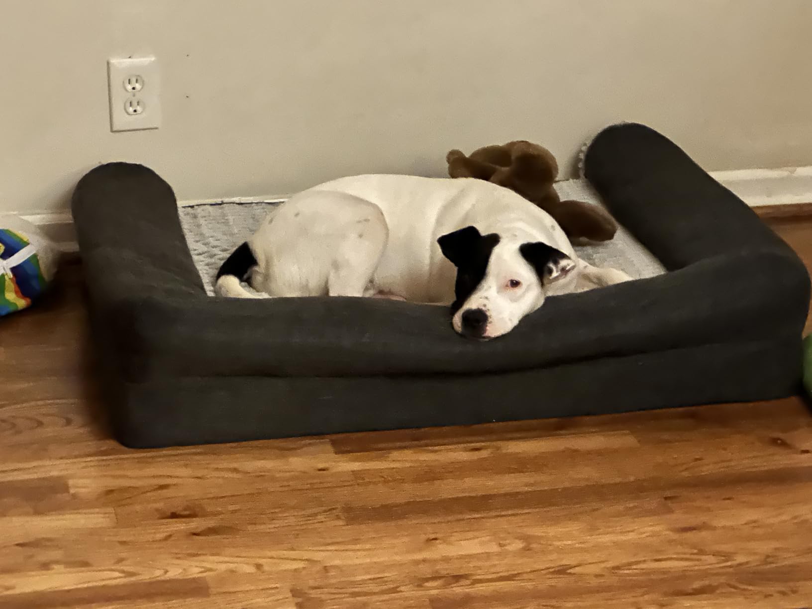 FurHaven Orthopedic Dog Bed for Large/Medium Dogs w/ Removable Bolsters & Washable Cover, For Dogs Up to 55 lbs - Plush & Suede Sofa - Gray, Large customer photo 2