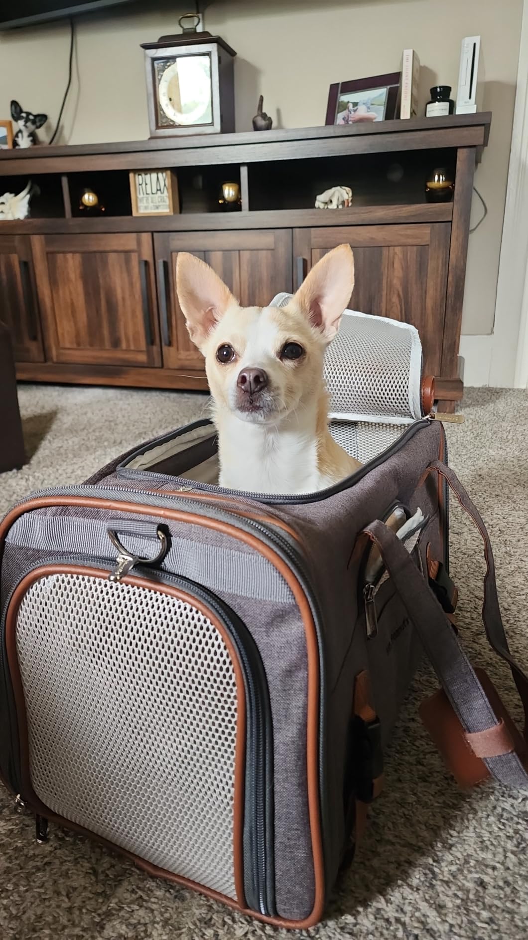 Mr. Peanut's Airline Approved Soft Sided Pet Carrier, Low Profile Gold Series Tote, Premium Self Locking Zippers, Under Seat Compatibility, Plush Faux Fleece Bedding customer photo 1