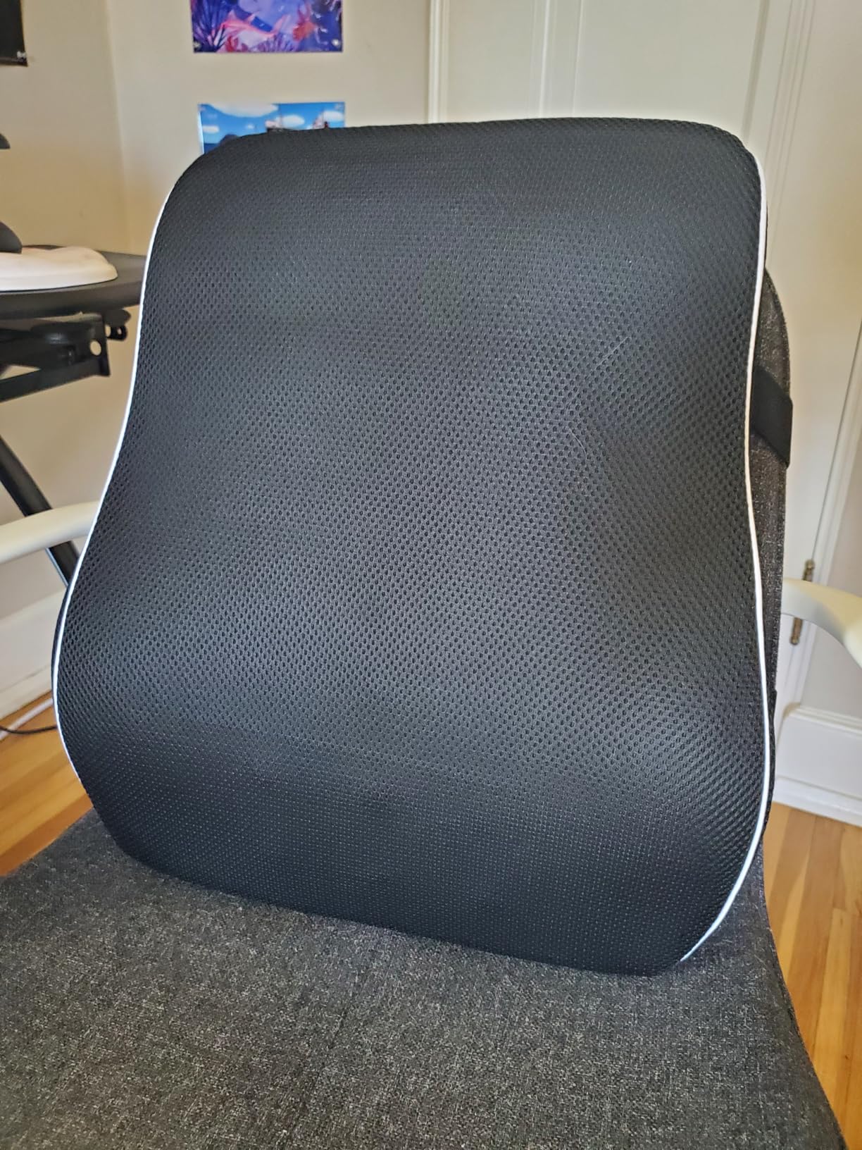 Lumbar Support Pillow for Office Chair, Office Home Essentials, Back Support Pillow for Car, Chair Cushions, Back Pain Relief Improve Posture, Mesh Cover Double Adjustable Straps customer photo 1