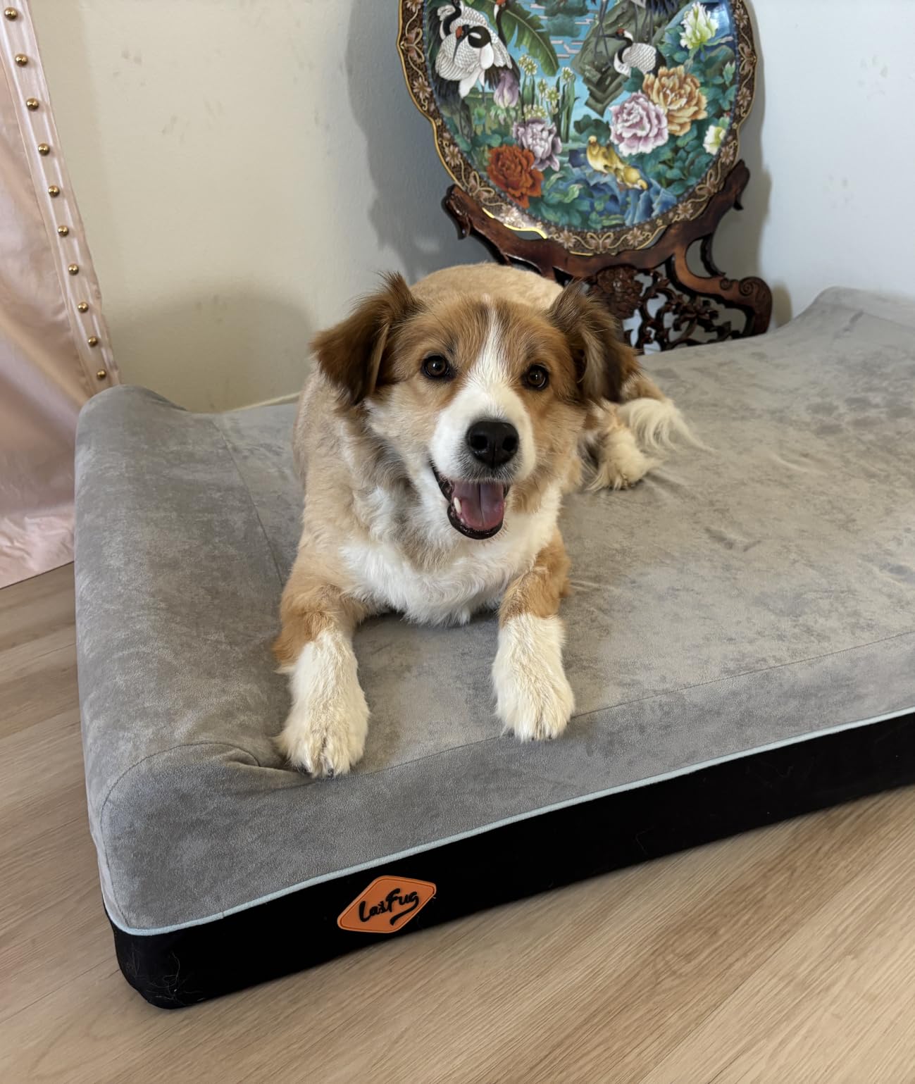 Laifug Orthopedic Dog Beds for Large Dogs, 7