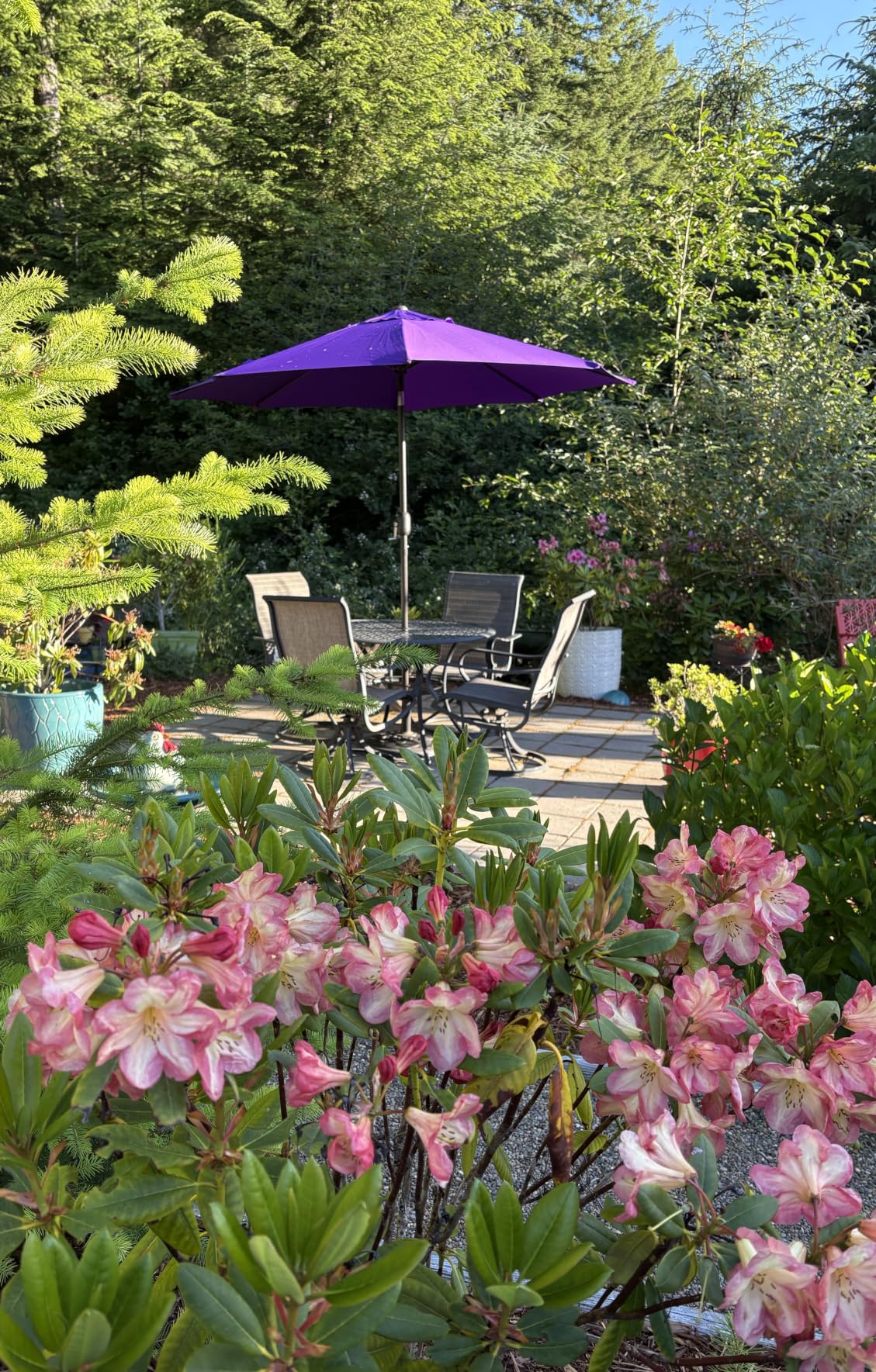 9' Outdoor Patio Umbrella, Outdoor Table Umbrella, Yard Umbrella, Market Umbrella with 8 Sturdy Ribs, Push Button Tilt and Crank customer photo 2