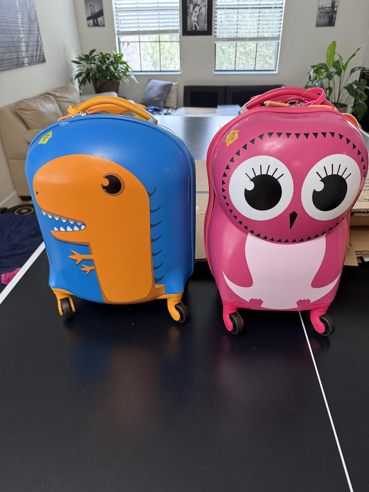 Jr. Kids' My First Hardside Spinner Luggage, Carry-On, Shark customer photo 1