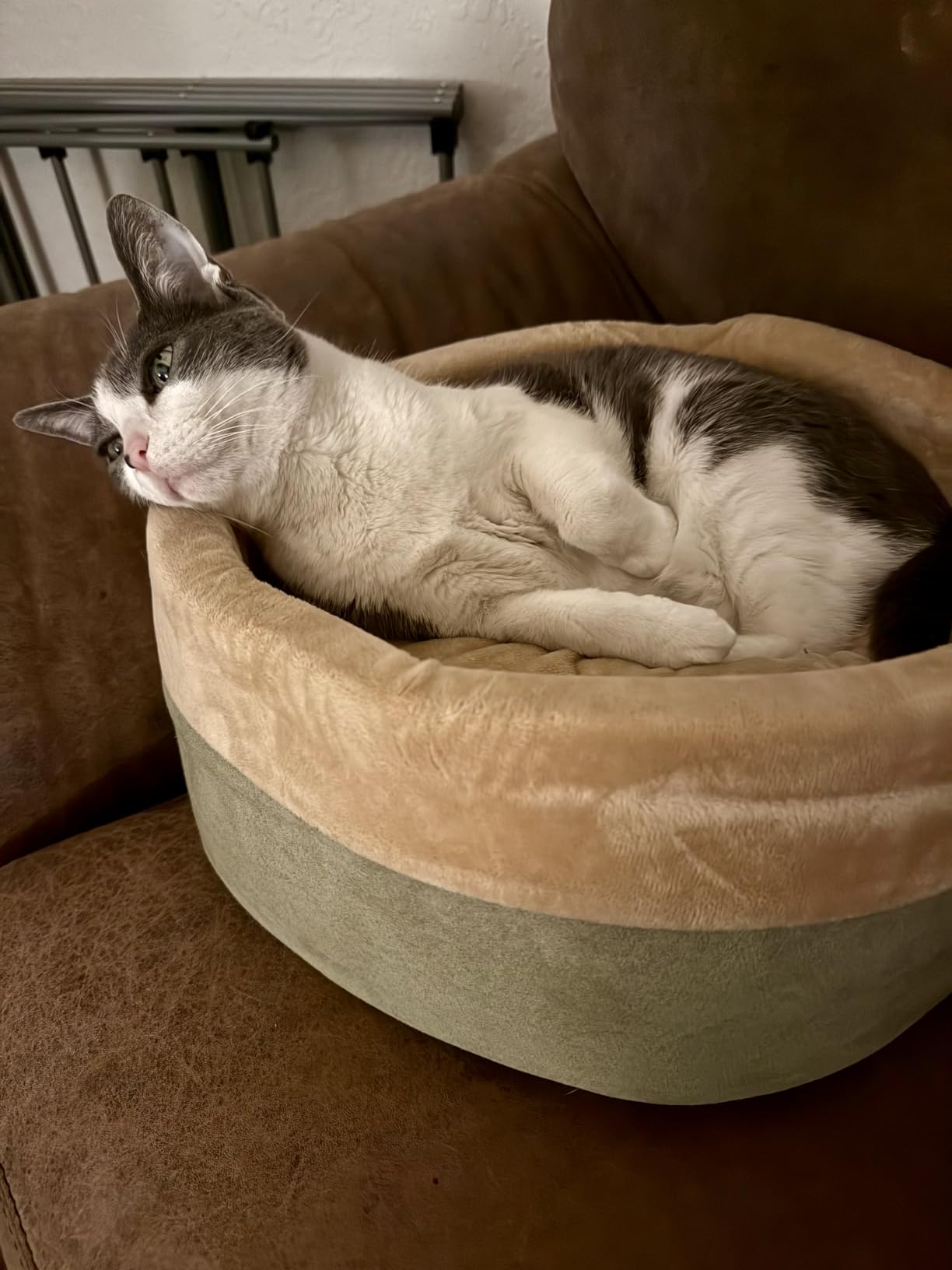 K&H Pet Products Thermo-Kitty Bed Heated Cat Beds for Indoor Cats & Dogs, Calming Warming Pillow Pet Bed, Machine Washable, Removable Heater, Safety Listed - Small 16