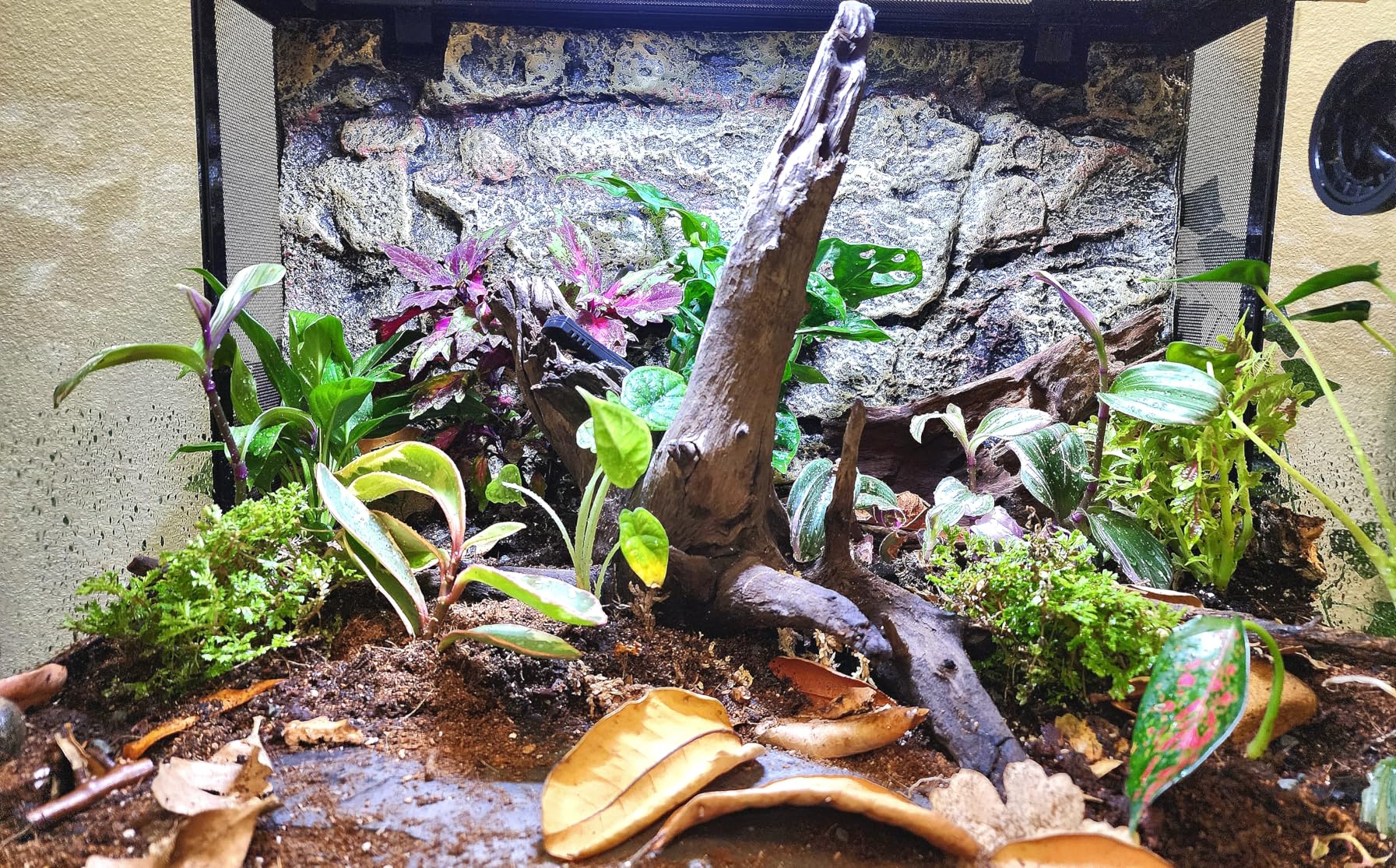 REPTI ZOO 34 Gallon Large Reptile Glass Terrarium Tank with Foam Backgrounds, Double Hinge Door with Screen Ventilation Reptile Terrarium 24