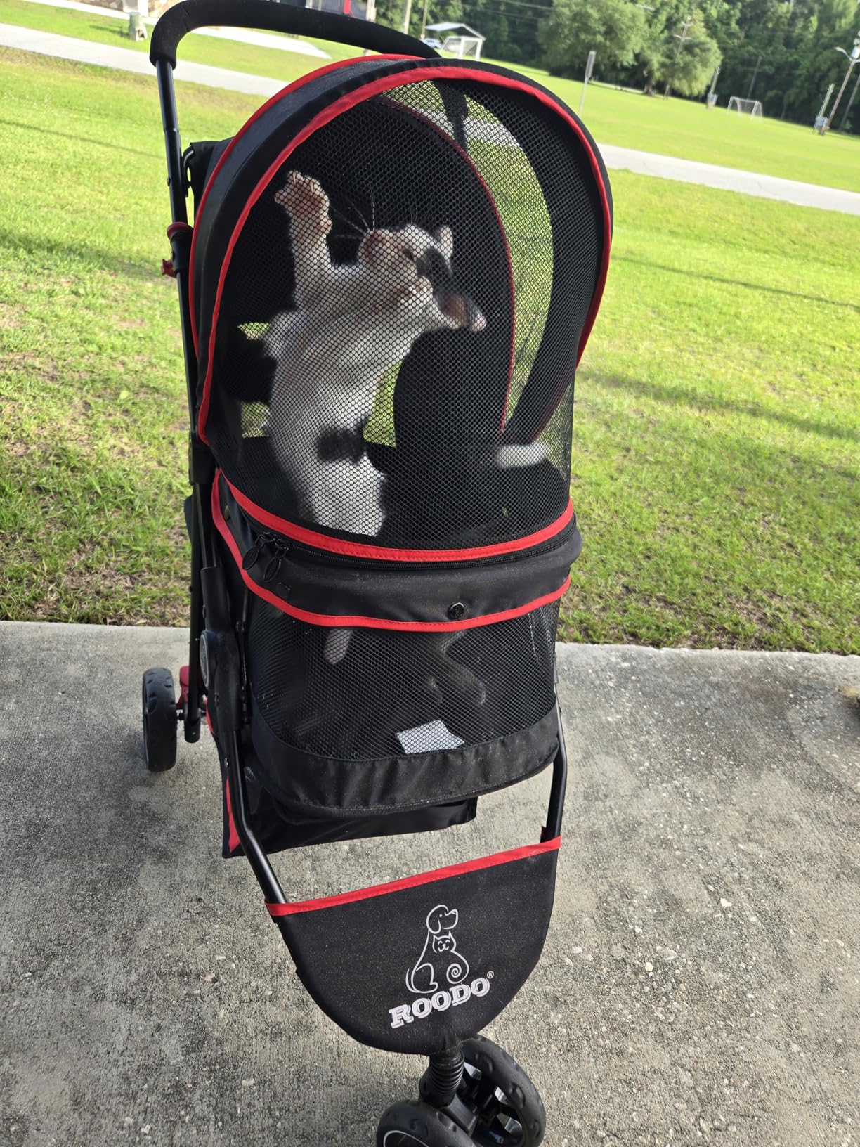 ROODO Escort 3 Wheel Dog Cat Pet Stroller for Small/Medium Dogs Cats Best Lightweight Foldable Portable Compact Jogger All Terrain Travel All Terrain Travel Pet Gear System Puppy Doggie Bunny Kitty Stroller(Grey) customer photo 1