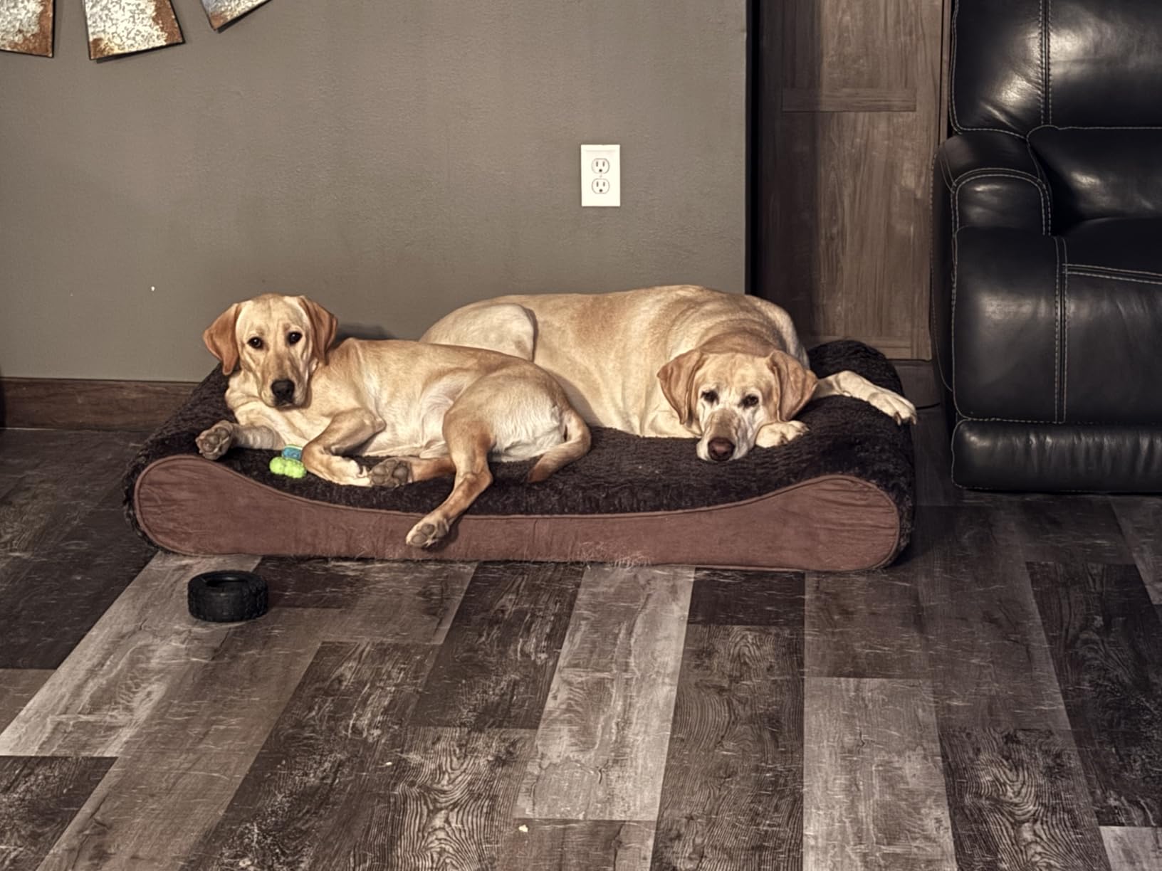 FurHaven Orthopedic Dog Bed for Large Dogs, Luxe Lounger Contour Mattress with Solid Orthopedic Foam Slab for Joint Support, Removable Washable Cover, Giant XXXL, Plush Suede, Gray customer photo 2