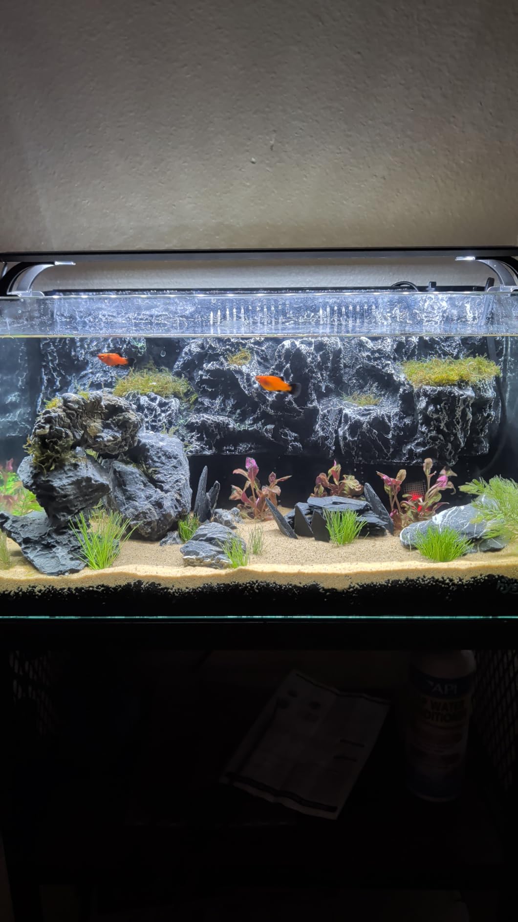 hygger Horizon 8 Gallon LED Glass Aquarium Kit for Starters with 7W Power Filter Pump, 18W Colored LED Light customer photo 2