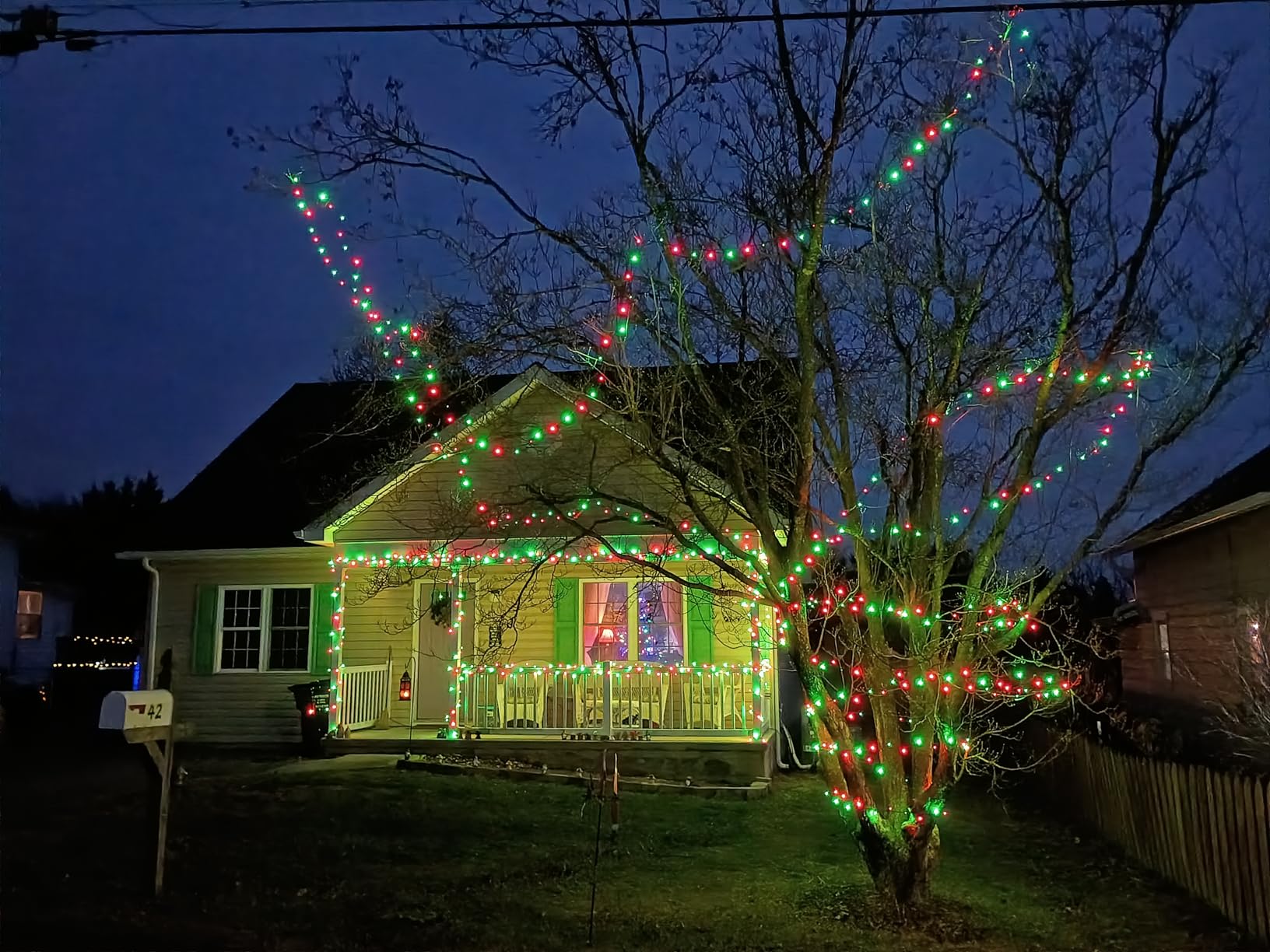 HOME LIGHTING 66ft Christmas Decorative Mini Lights, 200 LED Green Wire Fairy Starry String Lights Plug in, 8 Lighting Modes, for Indoor Outdoor Xmas Tree Wedding Party Decoration (Multicolor) customer photo 2