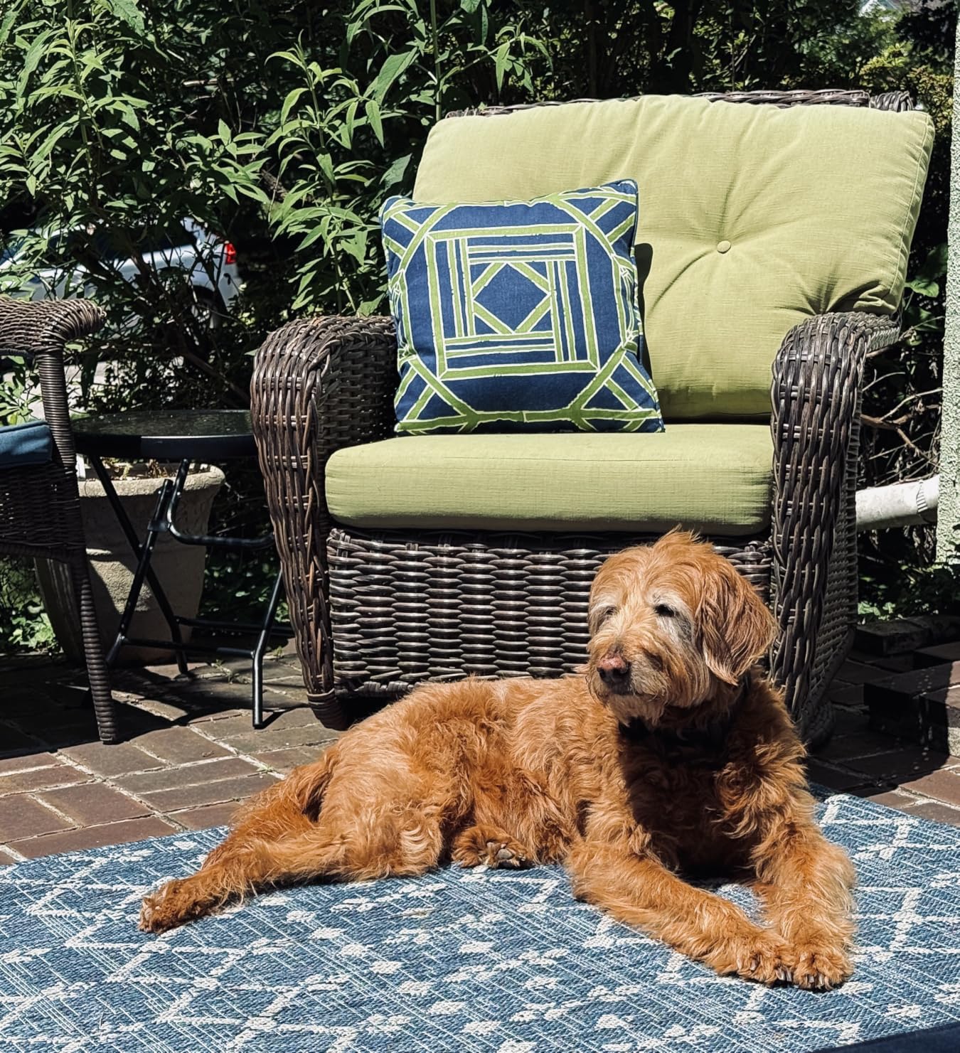 JONATHAN Y Moroccan Geometric Indoor Outdoor Area Rug 8X10 Natural/Black, Ourika Textured Weave for Backyard, Patio, Porch, Easy-Cleaning, High Traffic, Pet-Friendly, Non-Shedding (SMB108D-8) customer photo 1