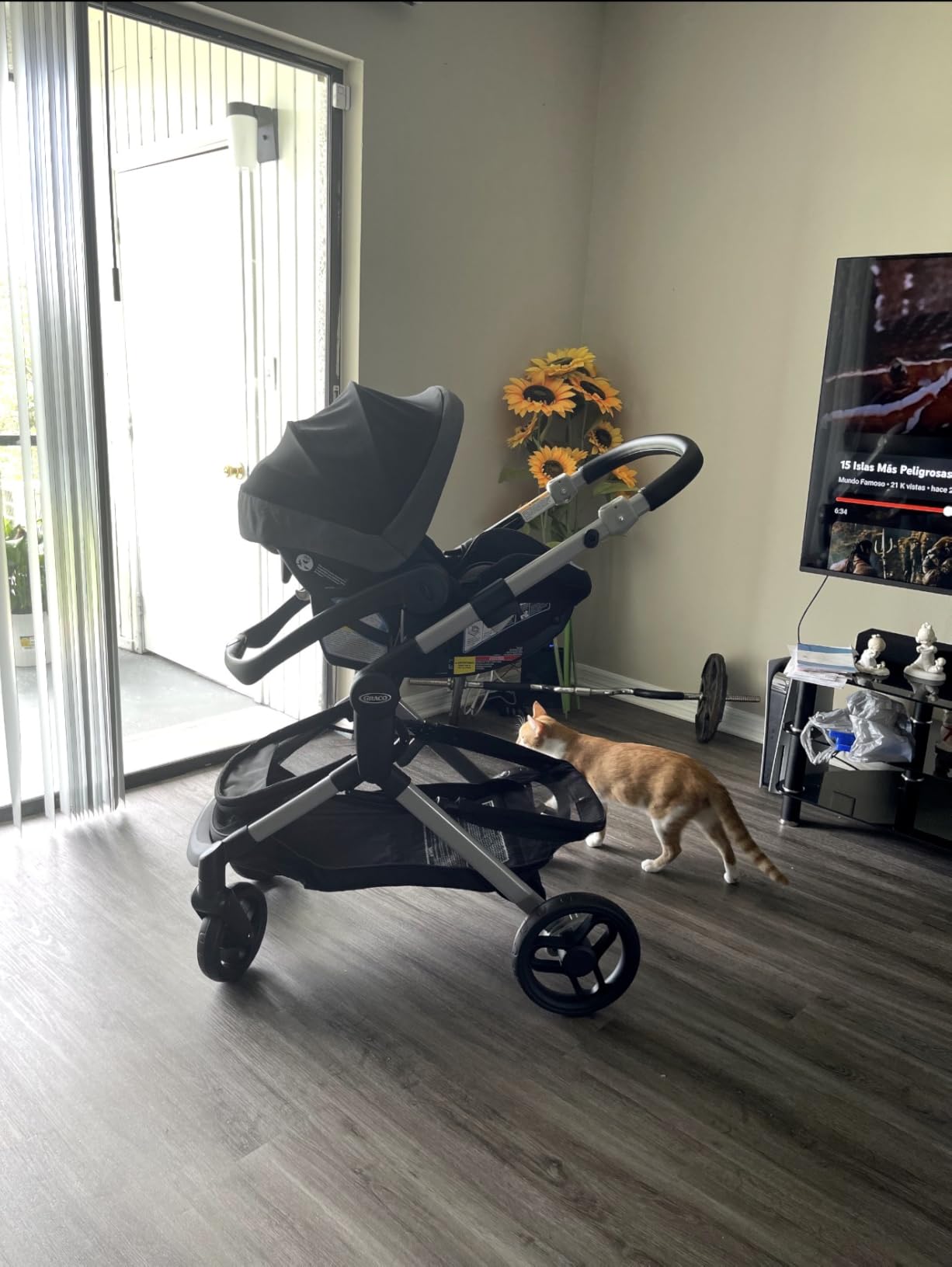 Graco Modes Nest Travel System, Car Seat and Stroller Combo, Includes: SnugRide DLX Infant Car Seat, and Reversible Baby Stroller, Norah customer photo 1