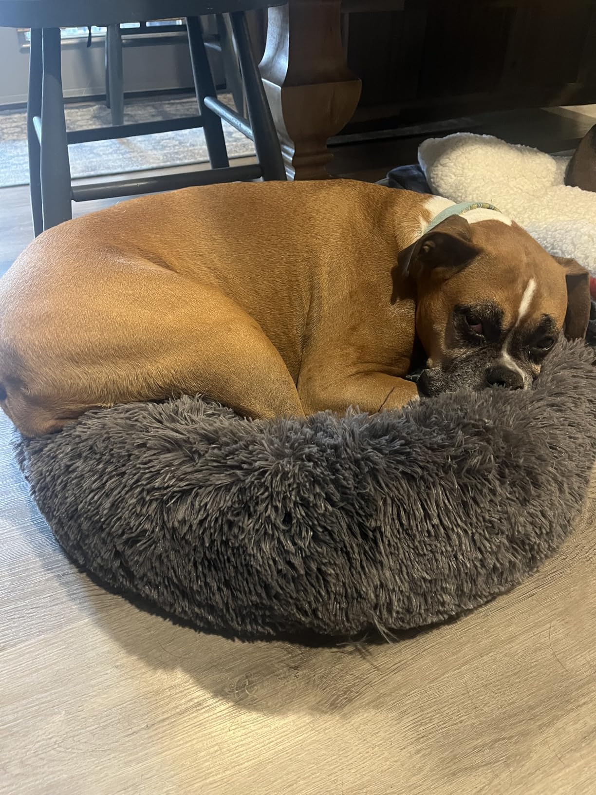Bedsure Calming Dog Bed Medium Size Dog Donut Washable Pet Bed,30ins Camel | Oprah Daily Sleep Award,Fluffy Faux Fur Round Cuddler,Anti-Slip Bottom,Anti-Anxiety,Deep Sleep for Pets Up to 45 Lbs customer photo 1
