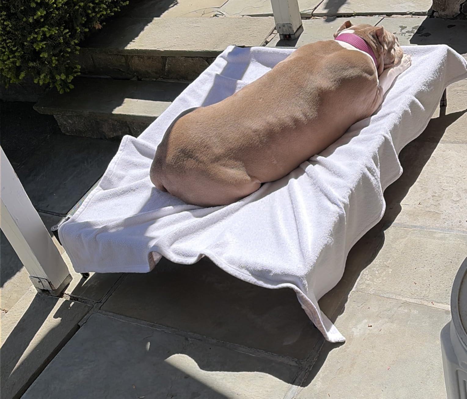 suddus Elevated Dog Bed for Large Dogs 120lb, Breathable Cooling Raised Dog Cot with Dual Support Bars & Metal Frame, No-Slip Feet, Waterproof Pet Bed for Indoor/Outdoor, X-Large, 48 * 36 * 9in, Grey customer photo 2