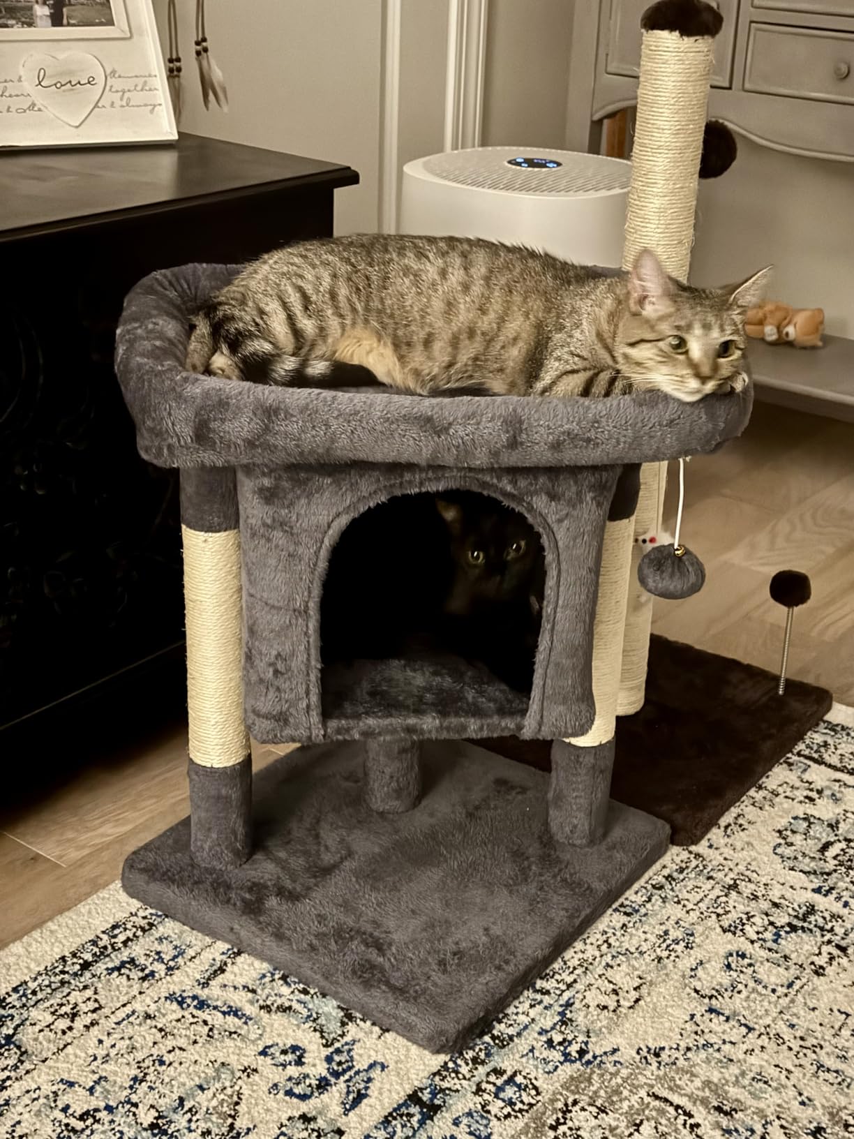 Yaheetech 23.5in Cat Tree - Sturdy & Stable, Space-Saving 3-Level Cat Tower with Plush Perch, Condo, Sisal Scratching Posts & Dangling Ball, Perfect for Apartments, Dark Gray customer photo 1
