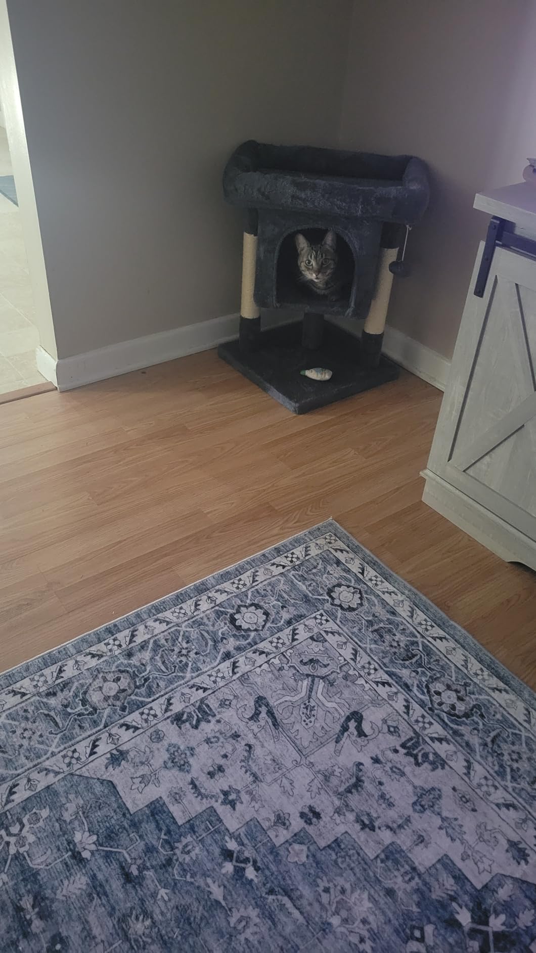 Yaheetech 23.5in Cat Tree - Sturdy & Stable, Space-Saving 3-Level Cat Tower with Plush Perch, Condo, Sisal Scratching Posts & Dangling Ball, Perfect for Apartments, Dark Gray customer photo 2